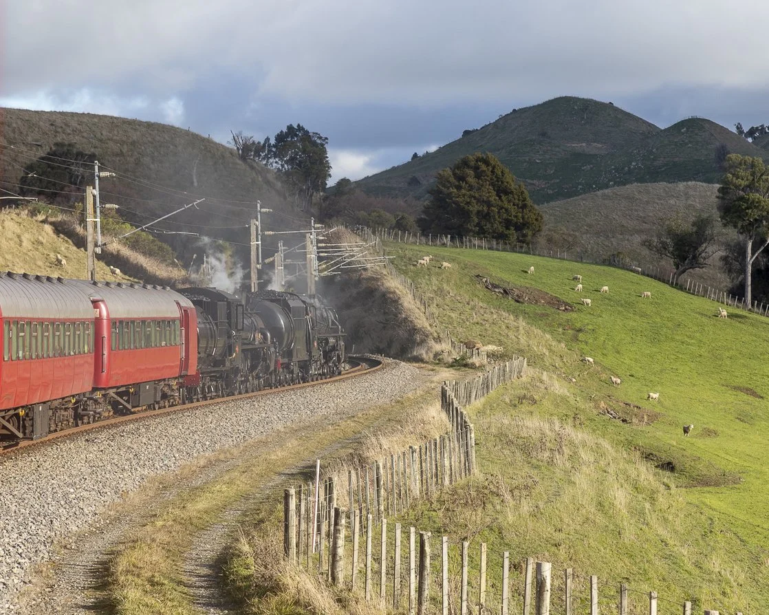 FRONZ 50th anniversary, a weekend well spent in NZ
