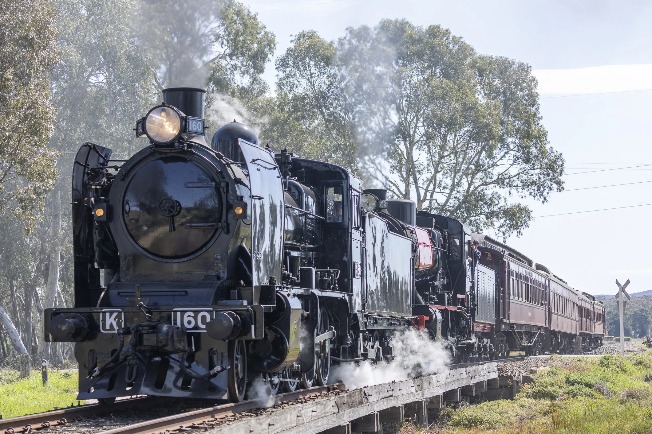 Trackside on the Victorian Goldfields Railway