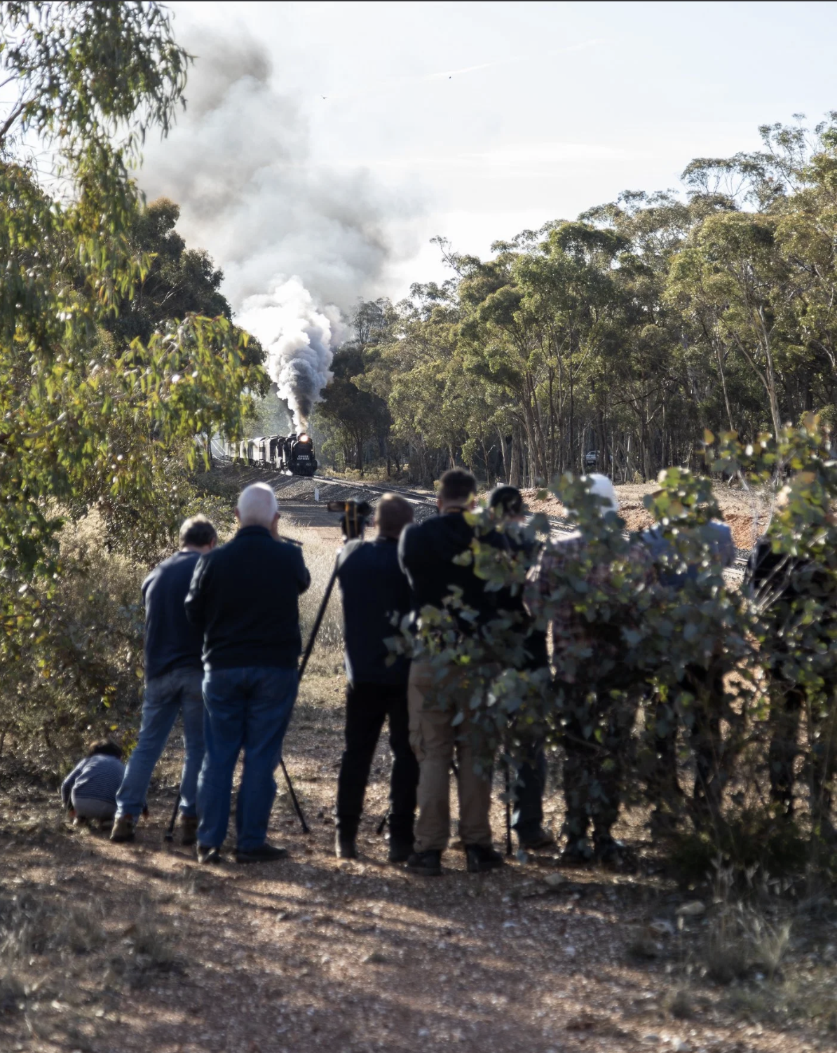 A line of photographers lined up to capture K 153 and K 190 leading the Cruise Express charter out of Dunolly. Scott Gould A Railway Life photography