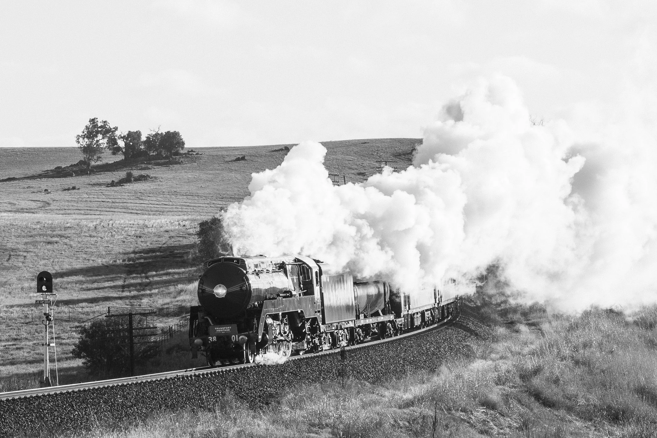 Transport Heritage NSW steam loco 3801 has departed Junee for a run to Wagga to haul day trips. The exhaust hanging in the cool morning air as the train passes through prime NSW grazing and cropping land. Scott Gould A Railway Life photography