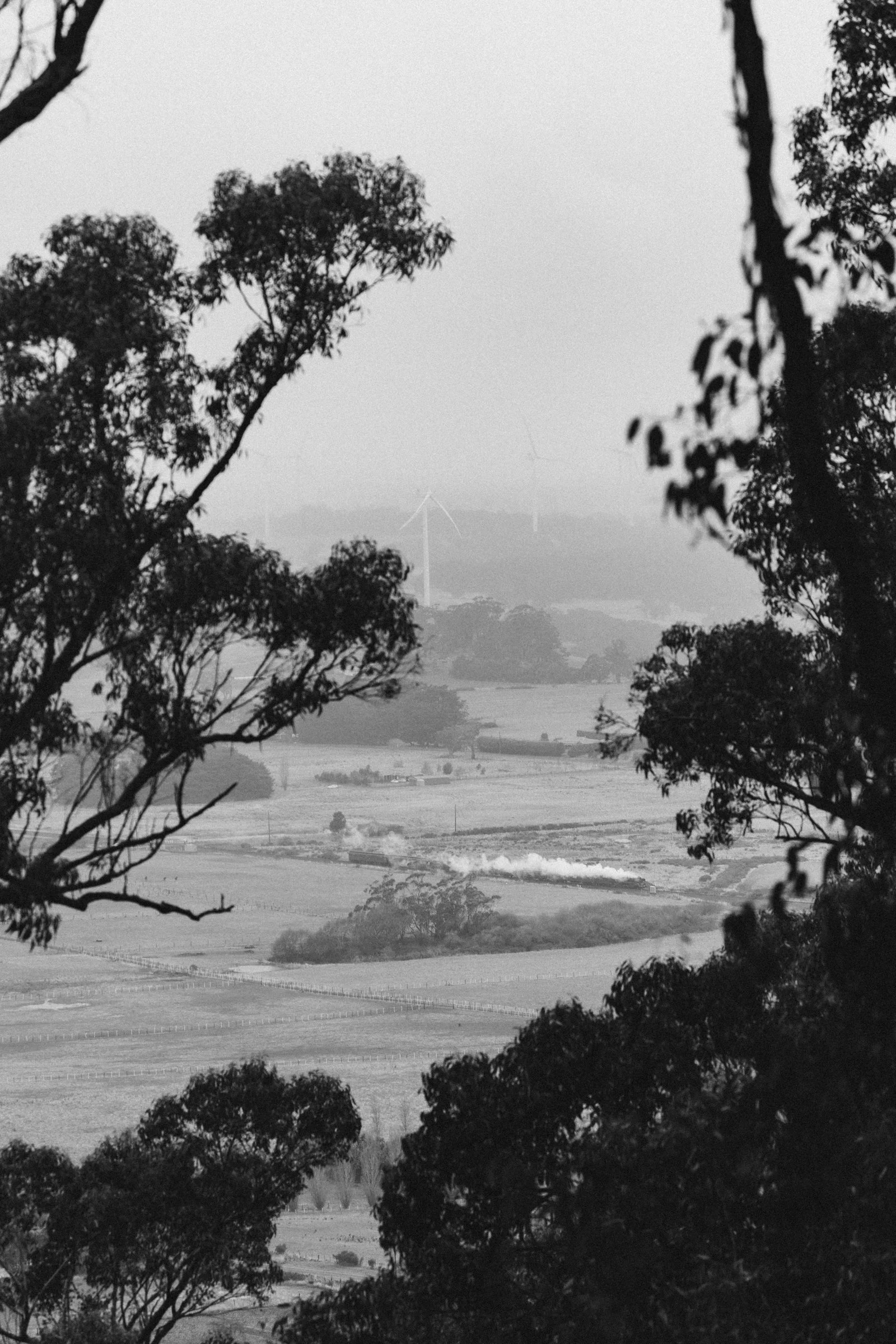 R 761 leading the Eureka Express past the wind farm south of Mount Warrenhiep, on a typical Ballarat Winters day. Scott Gould Railway A Life fine art photography train photography Steamrail