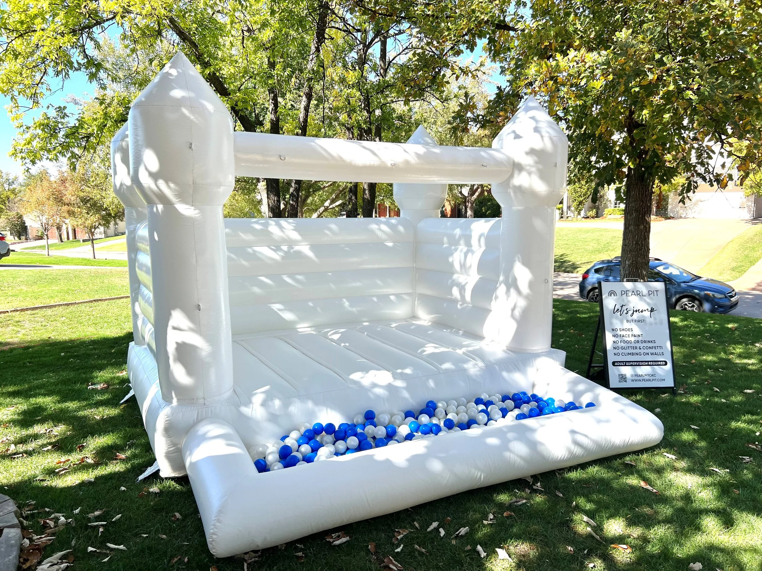 Modern Inflatables, Ball Pits & Party Rentals — Pearl Pit