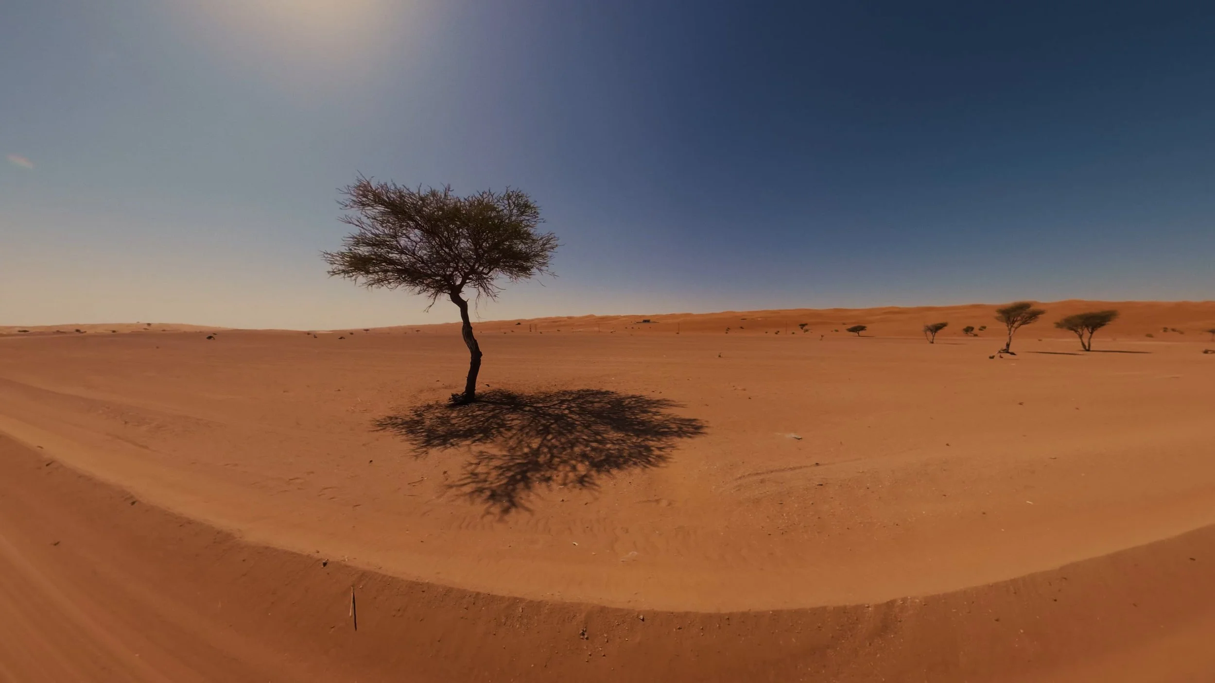 Weihnachten 2025: Red Notice