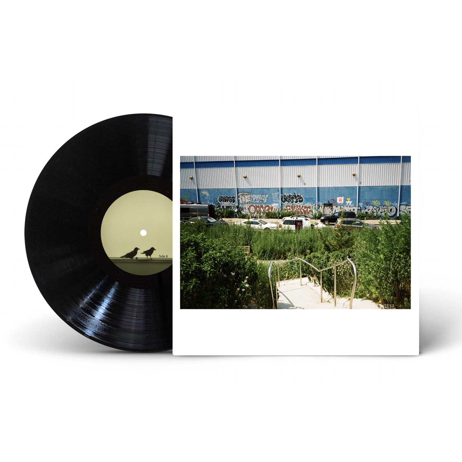 NPTL Cover 2 Back.jpg