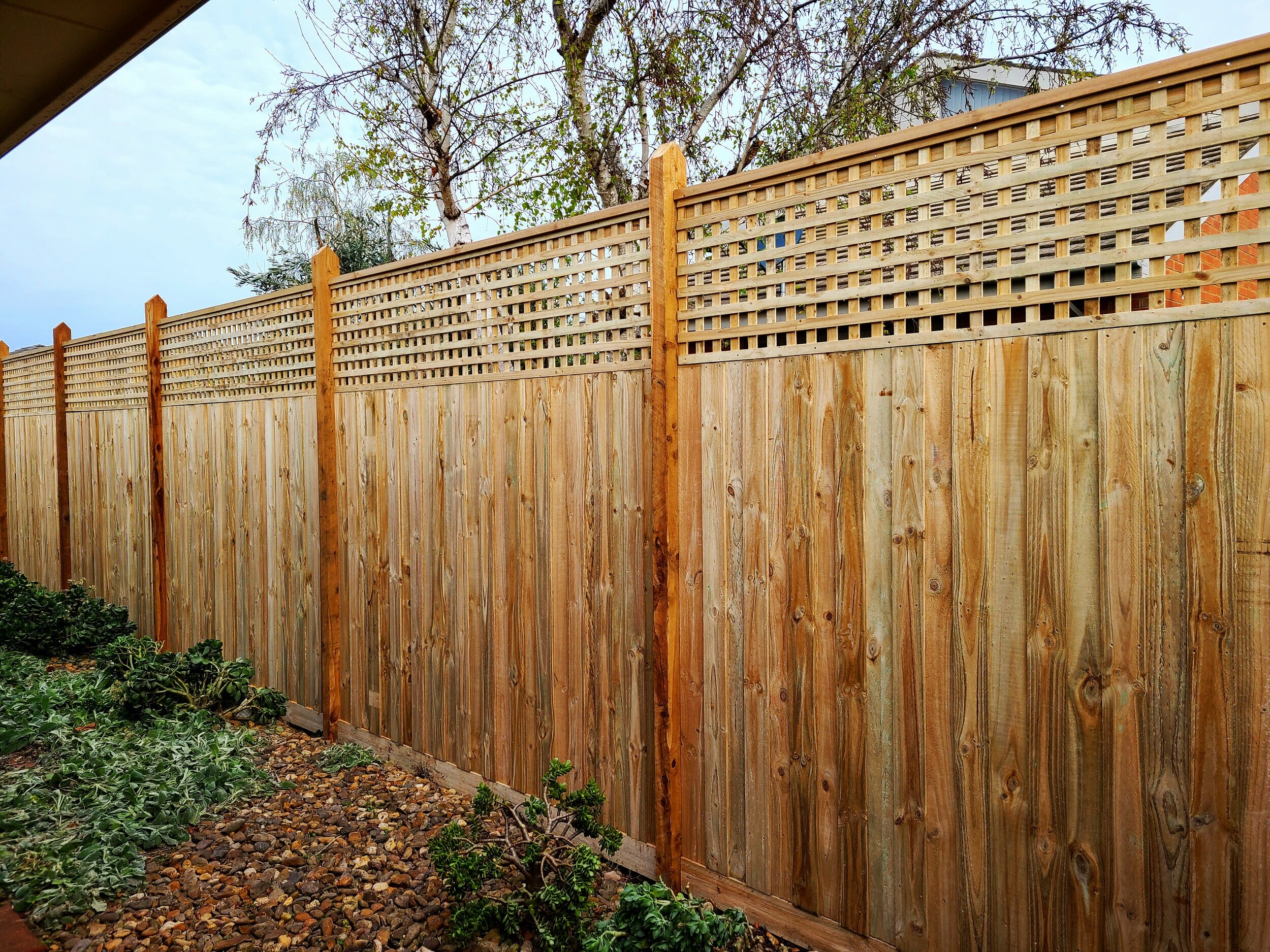 Timber Paling Fence Service Melbourne Fencing Experts