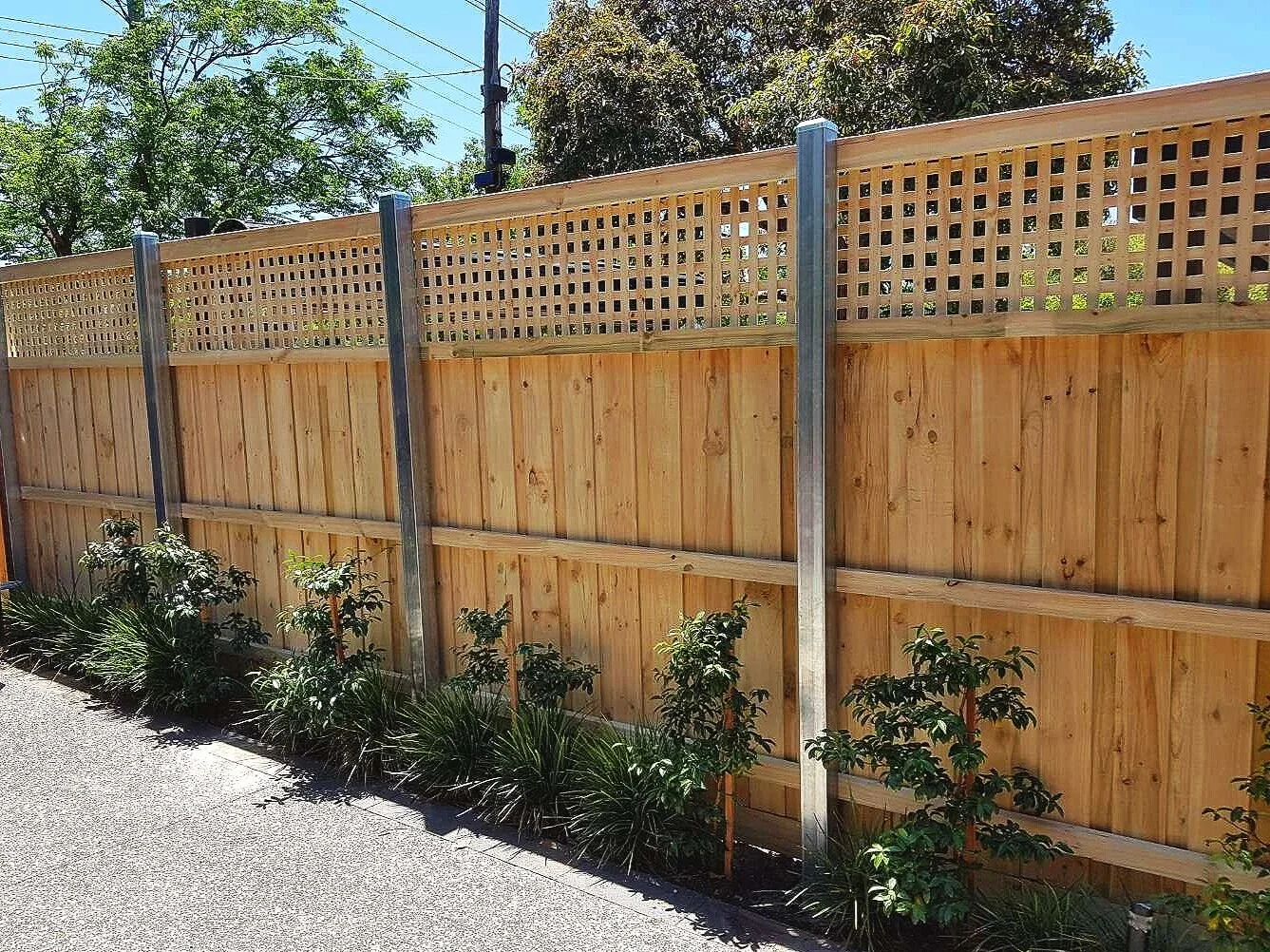 Timber Paling Fence Service Melbourne Fencing Experts