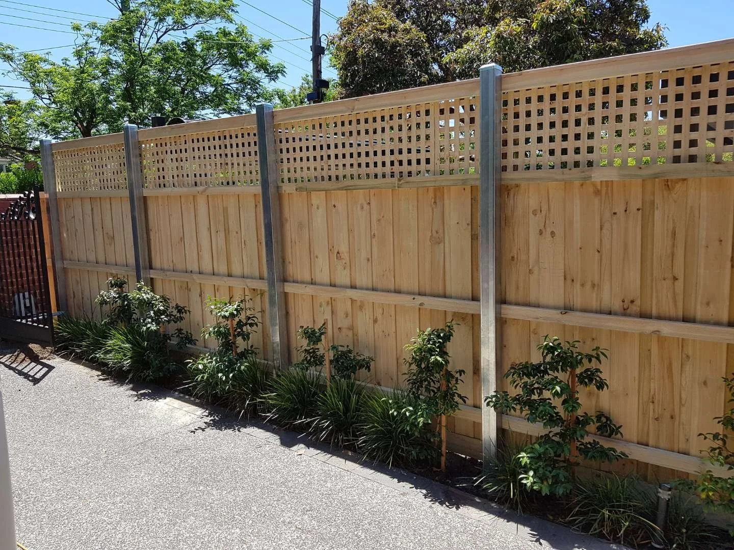 Timber Paling Fence Service Melbourne Fencing Experts