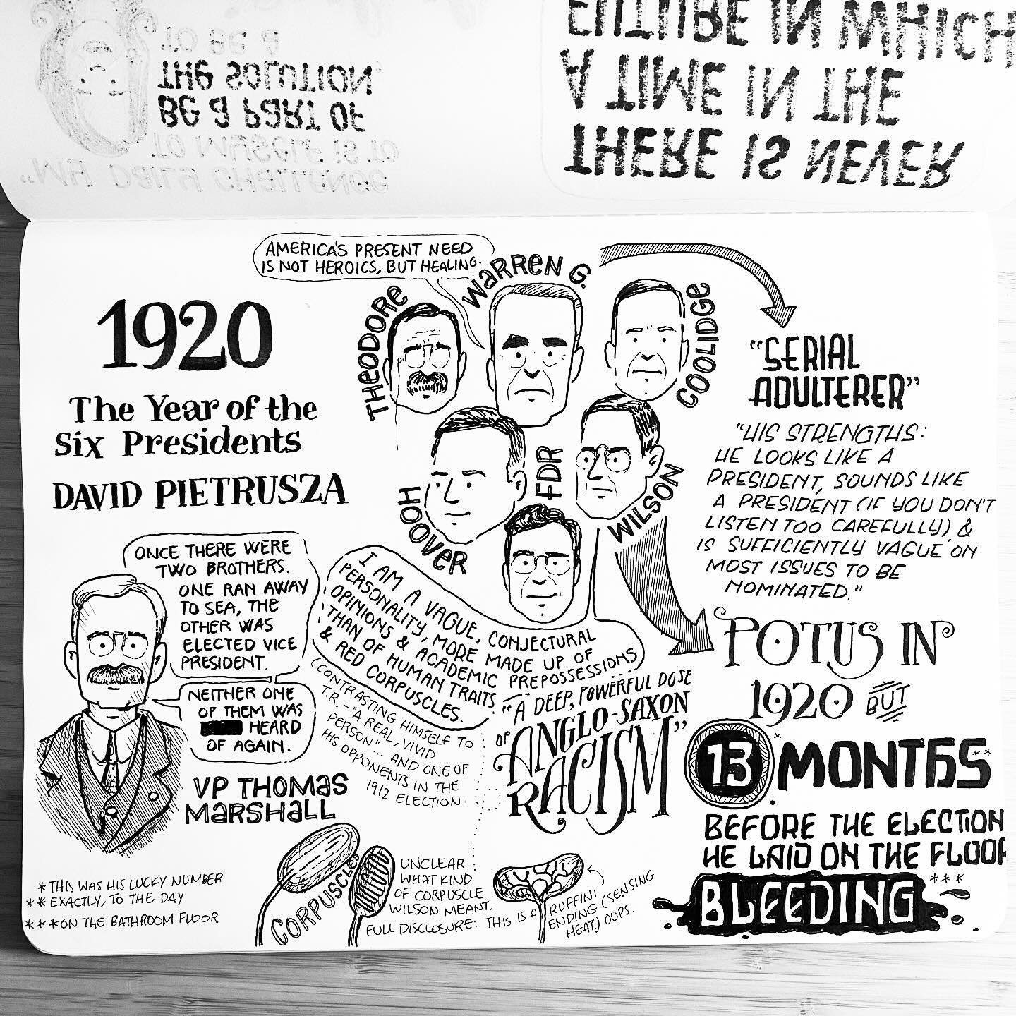 1920: The Year of Six Presidents 
By David Pietrusza
@davidpietrusza 

#warrengharding #calvincoolidge #theodoreroosevelt #fdr #woodrowwilson #herberthoover