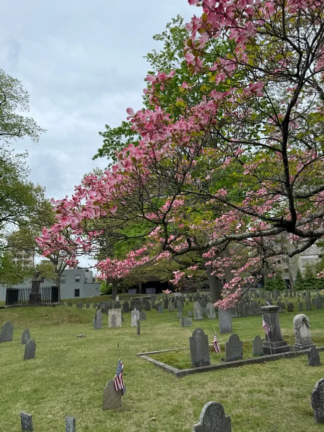 Hancock-Cemetery_1.jpg