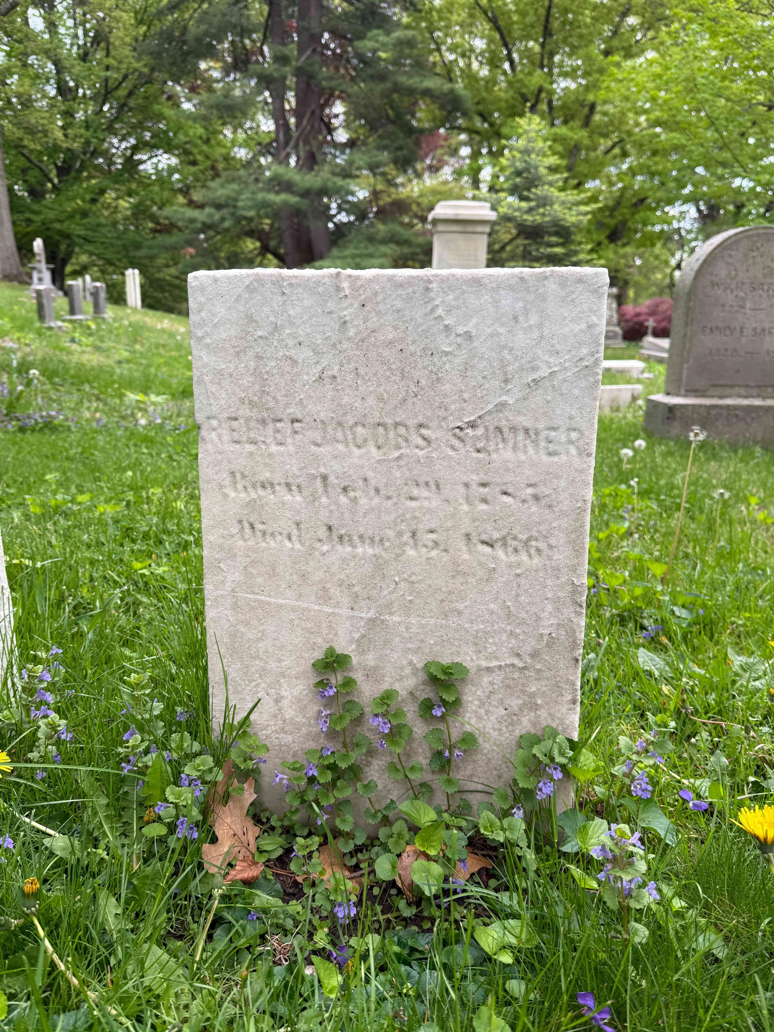 Mount-Auburn-Cemetery_Relief-Jacobs-Sumner.jpg