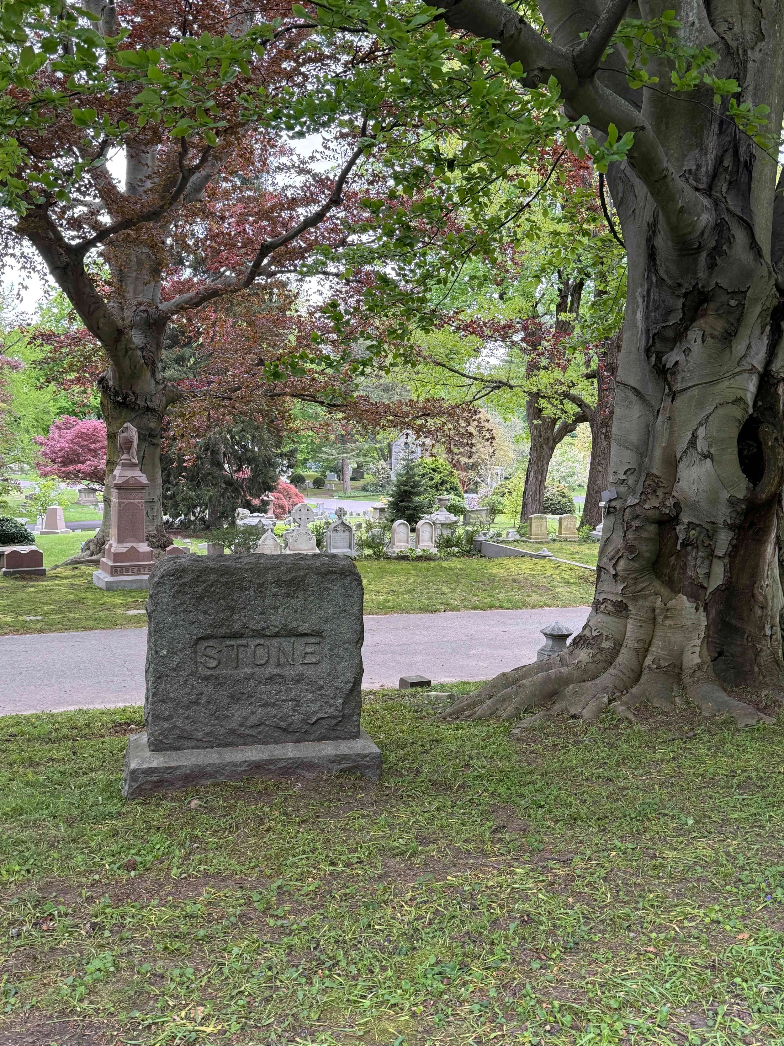 Mount-Auburn-Cemetery_Stone.jpg