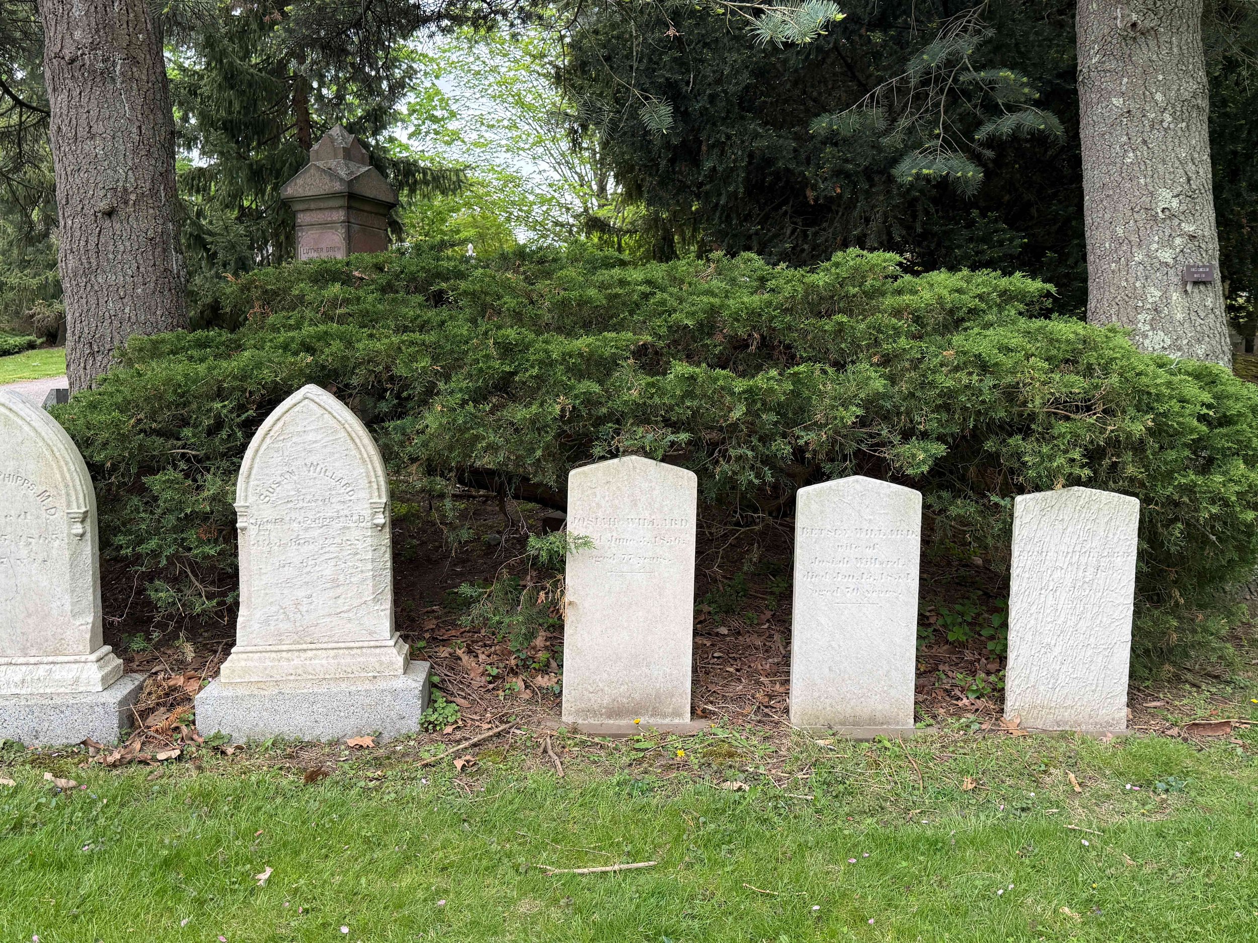 Mount-Auburn-Cemetery_Willards.jpg