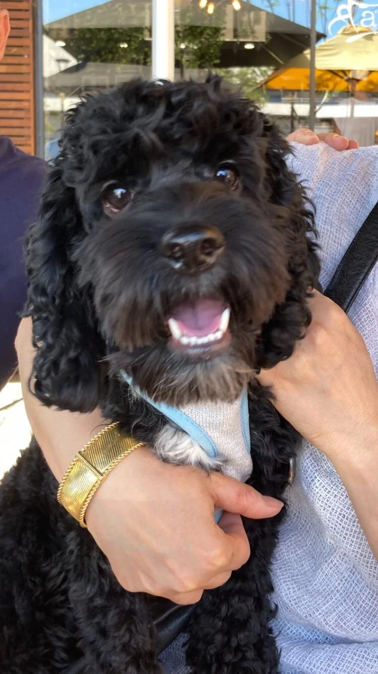 60f845d9-adf4-4969-8514-2374439315ea 2.JPG