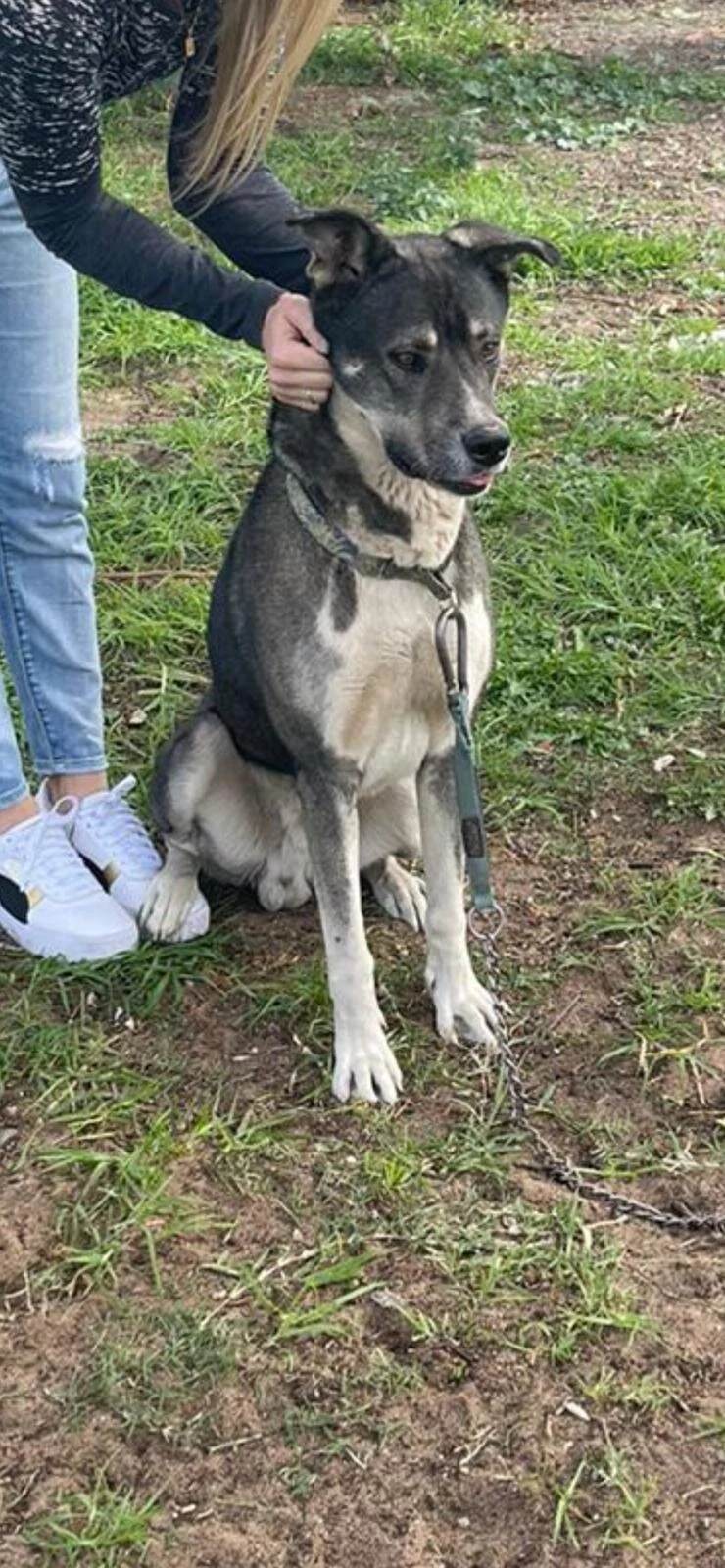 WhatsApp Image 2021-08-12 at 6.05.05 PM.jpeg