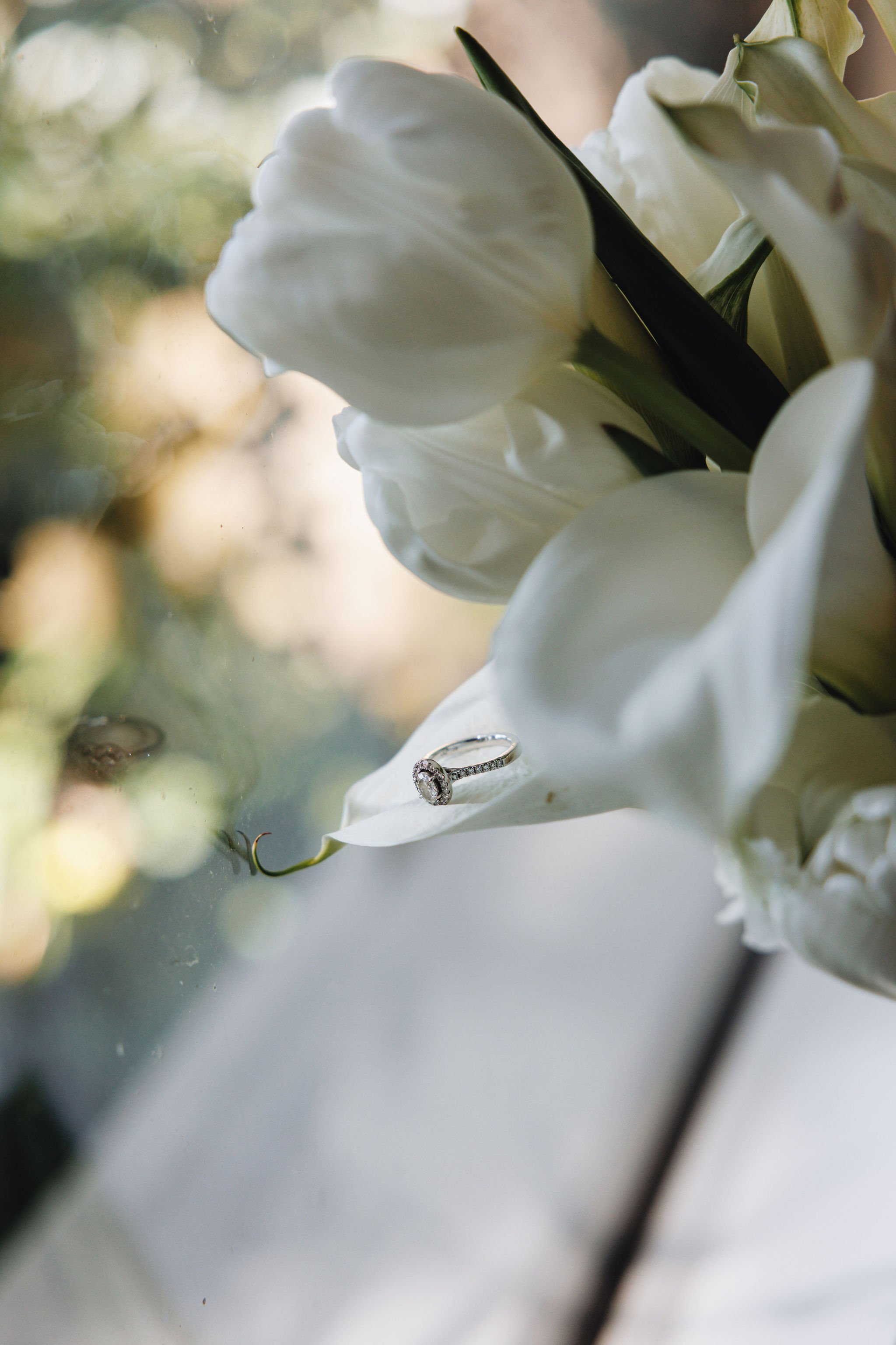 AEW_BrookeandDarrian-113.jpg