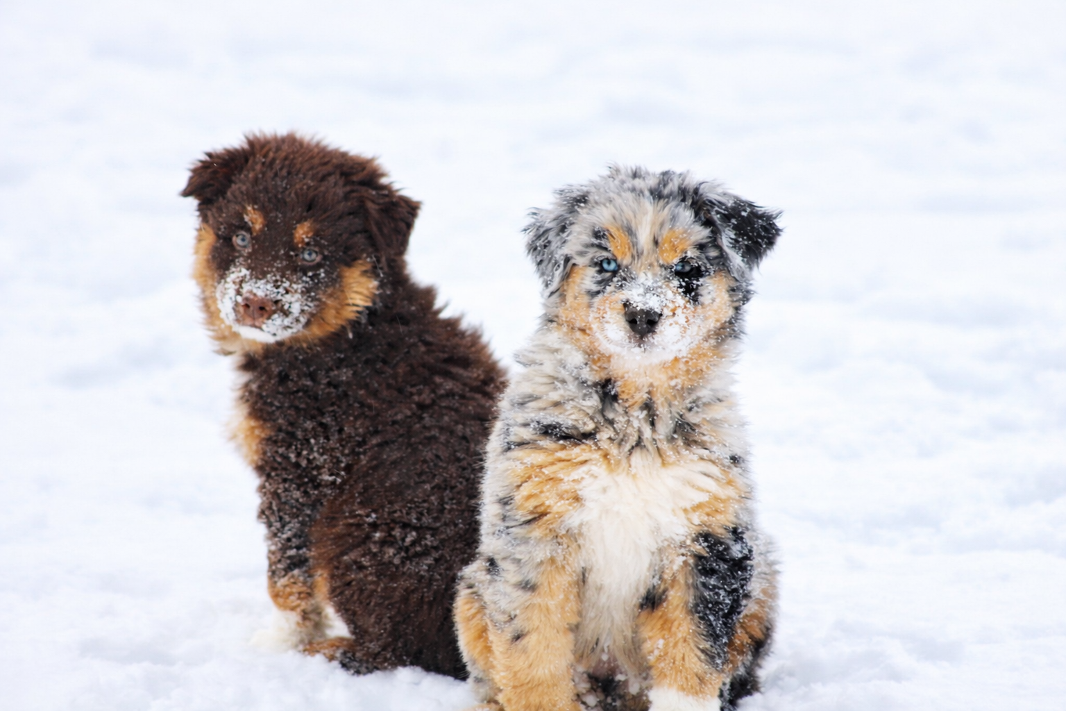 ChatGPT Image Jan 30, 2026, 09_08_45 AM.png