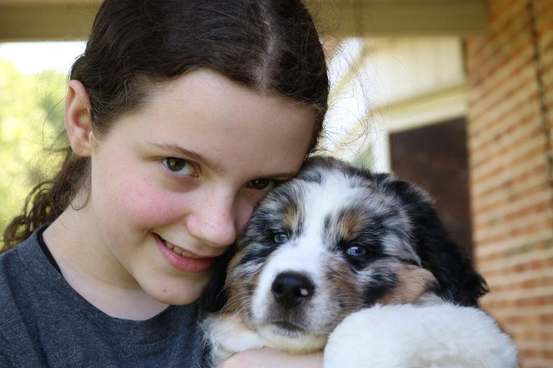 aussie9.jpg