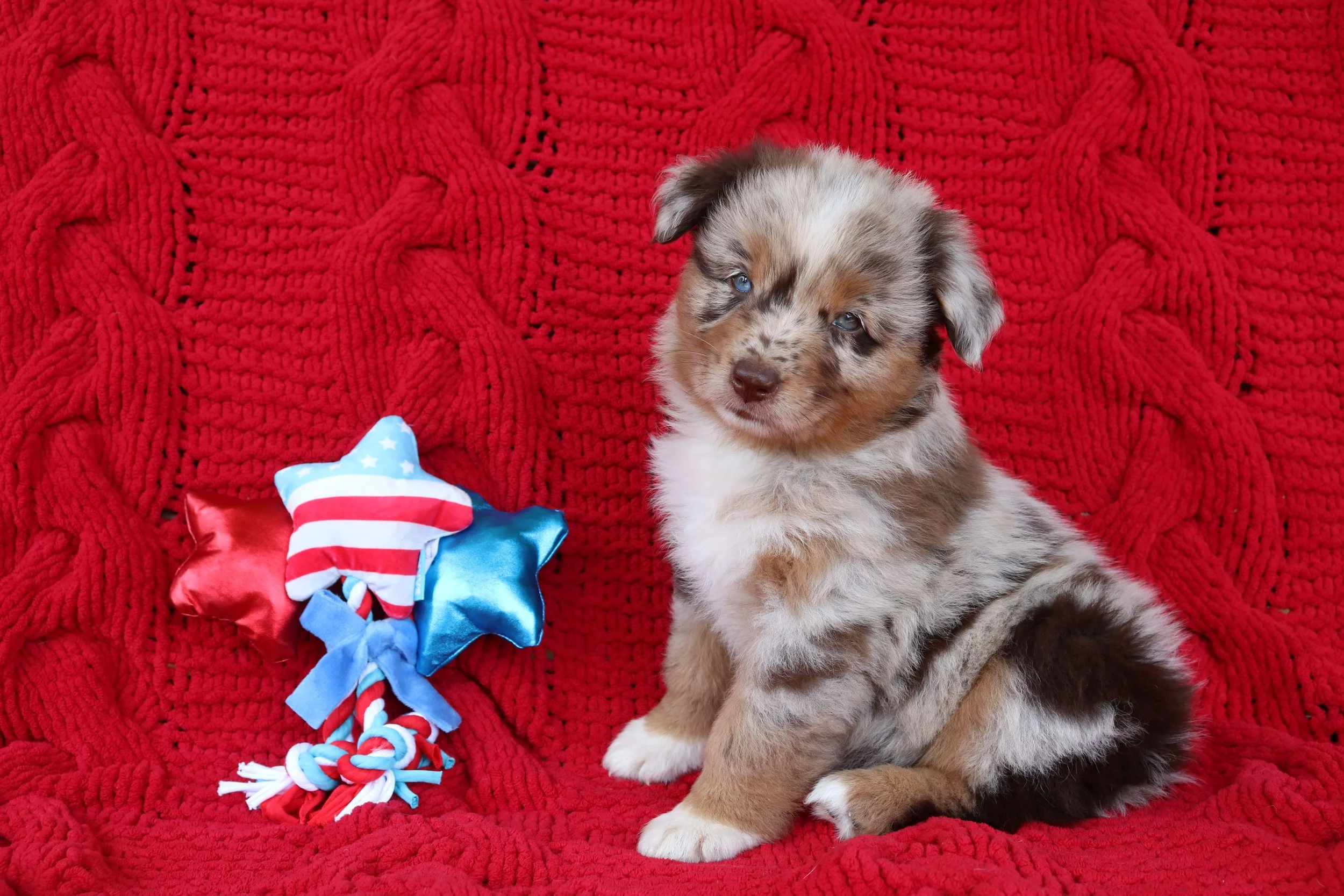 7 weeks