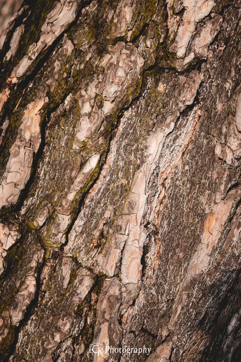 Celeste Texture2.jpg