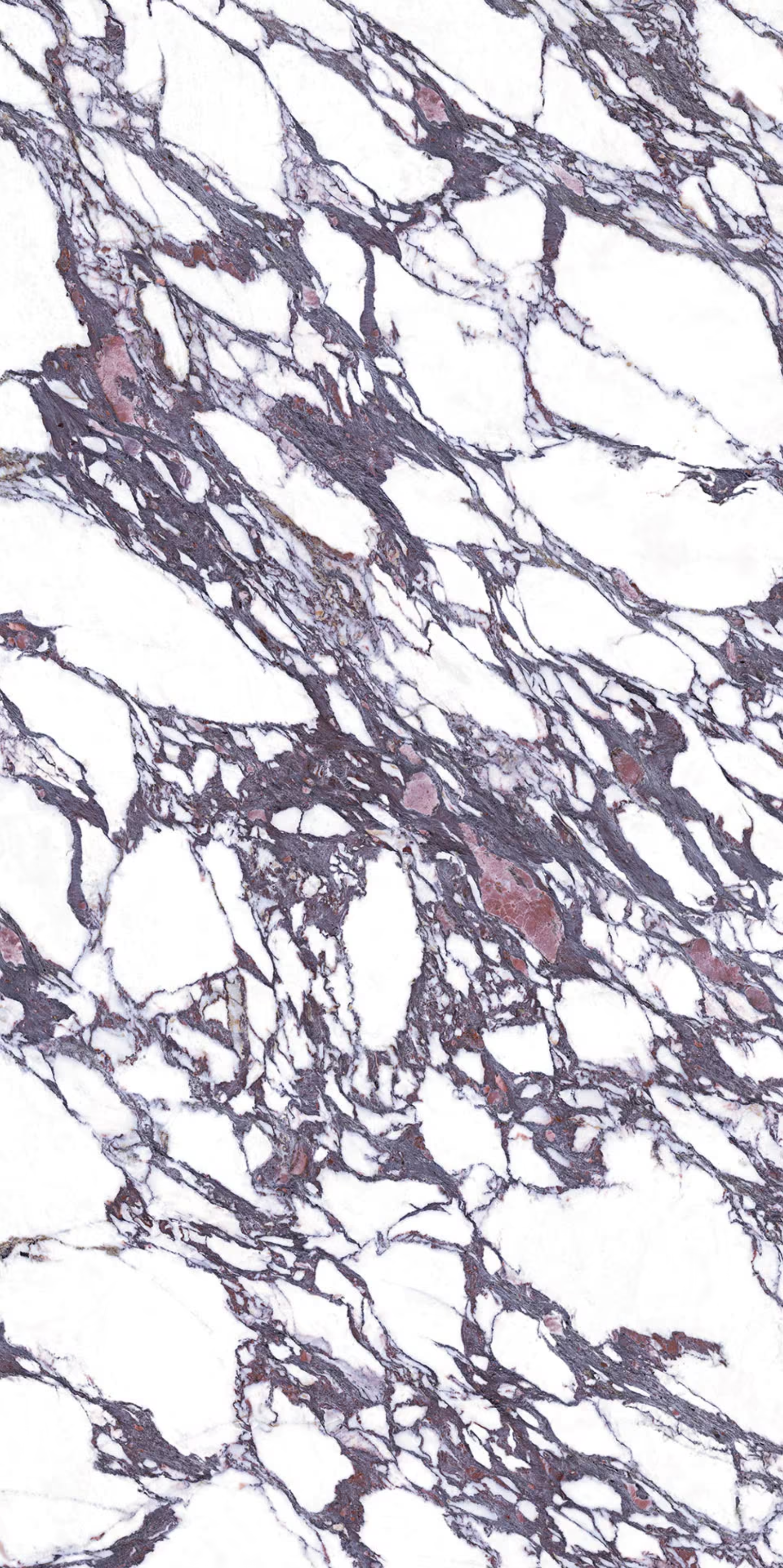 LEVEL Calacatta Viola A.png