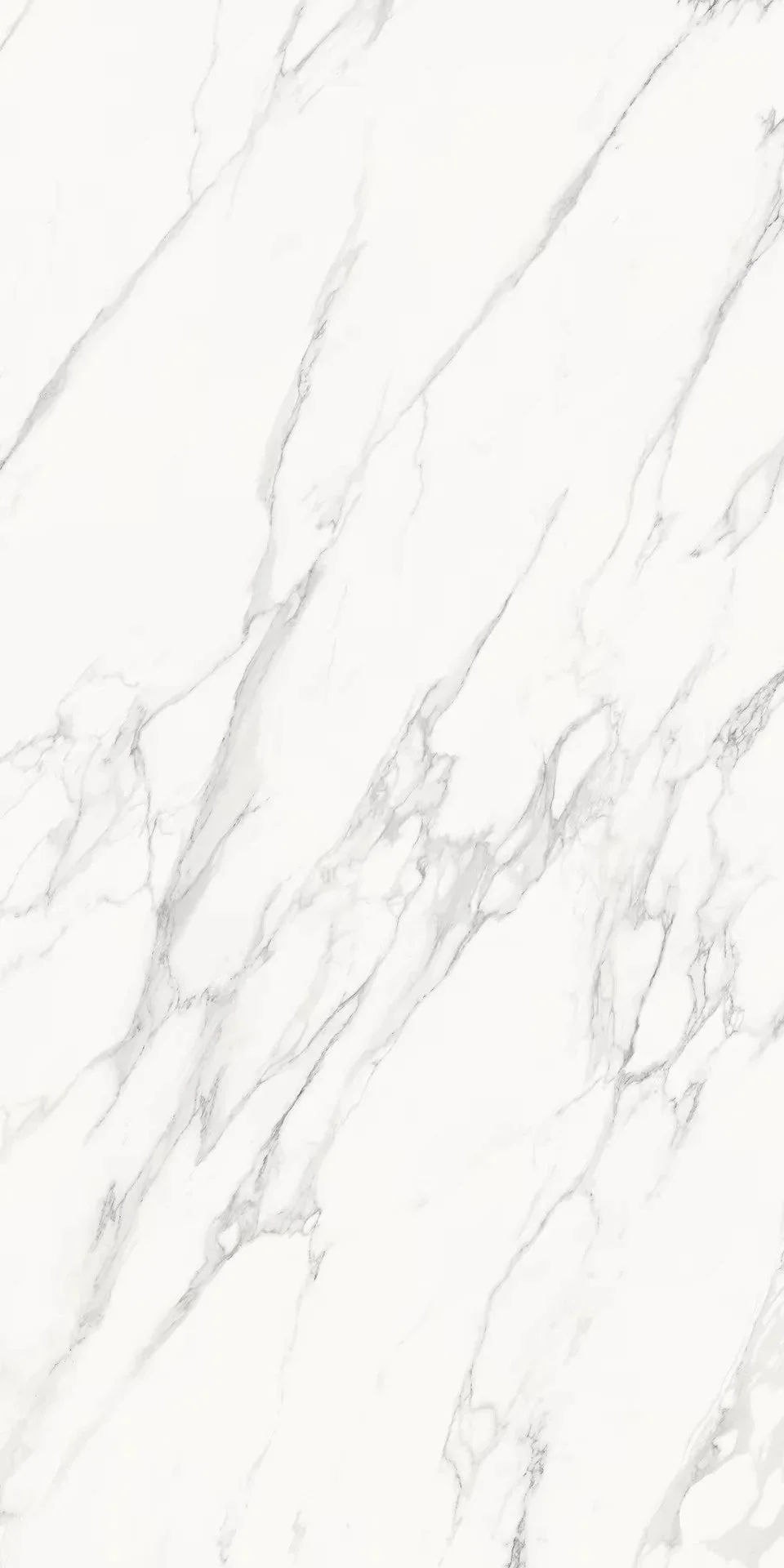 Statuario Michelangelo