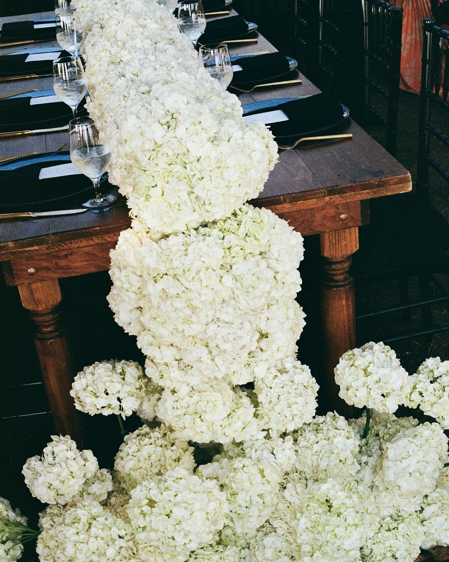 This perfect day on film 🖤 

@sterlinglifephoto 
@homegrown.happenings 
@eastbeachflowers 
@djdannygray 
@dhaliaedwardsmakeup 
@bigtopentertainmentva 
@flawlessonsite 
@marriedbyevan 
@hermitagemuseumva