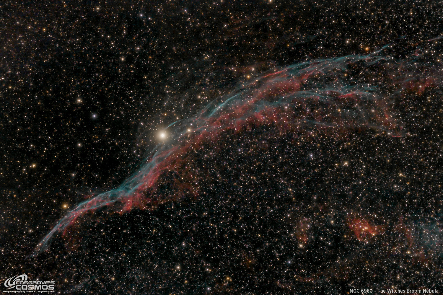NGC 6960 - The Witches Broom Nebula — Cosgrove's Cosmos