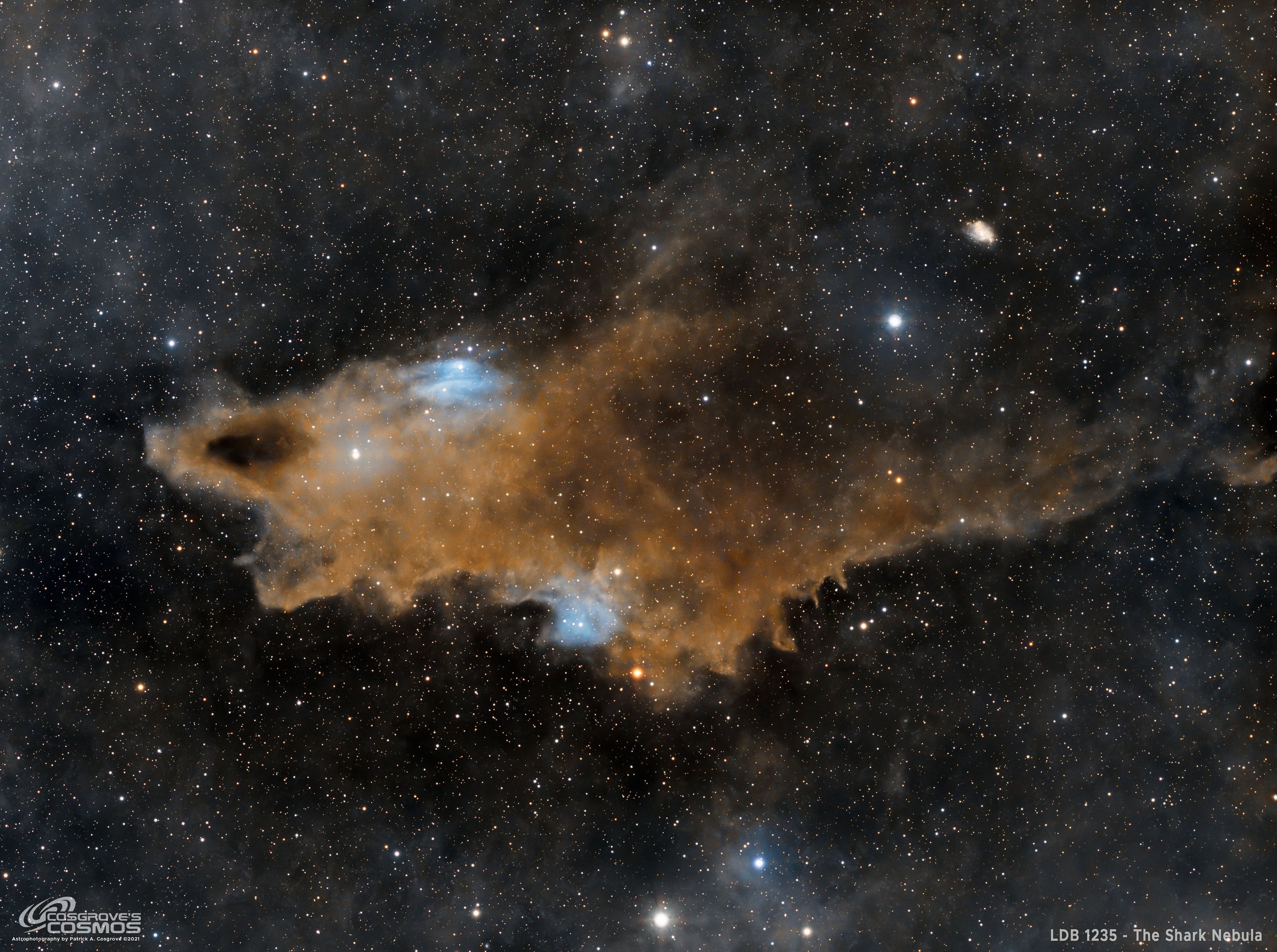 LDN 1235 - The Shark Nebula - My 1st Attempt at a Dark Nebula (7.4 hours LRGB)