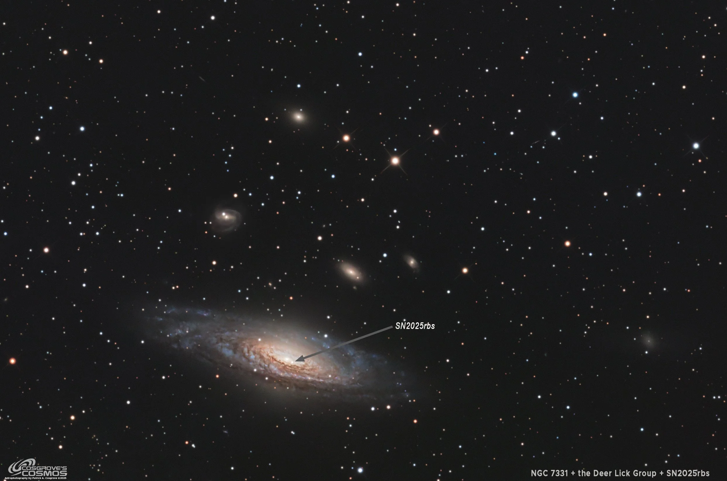 NGC 7331 and the Deer Lick Group with Supernova SN2025rbs (4.7 hours in LRGB)