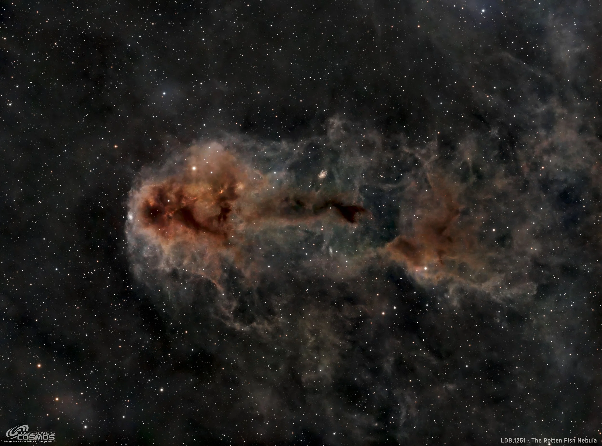 LDN 1251 - The Rotten Fish Nebula (18.9 hours LRGB)