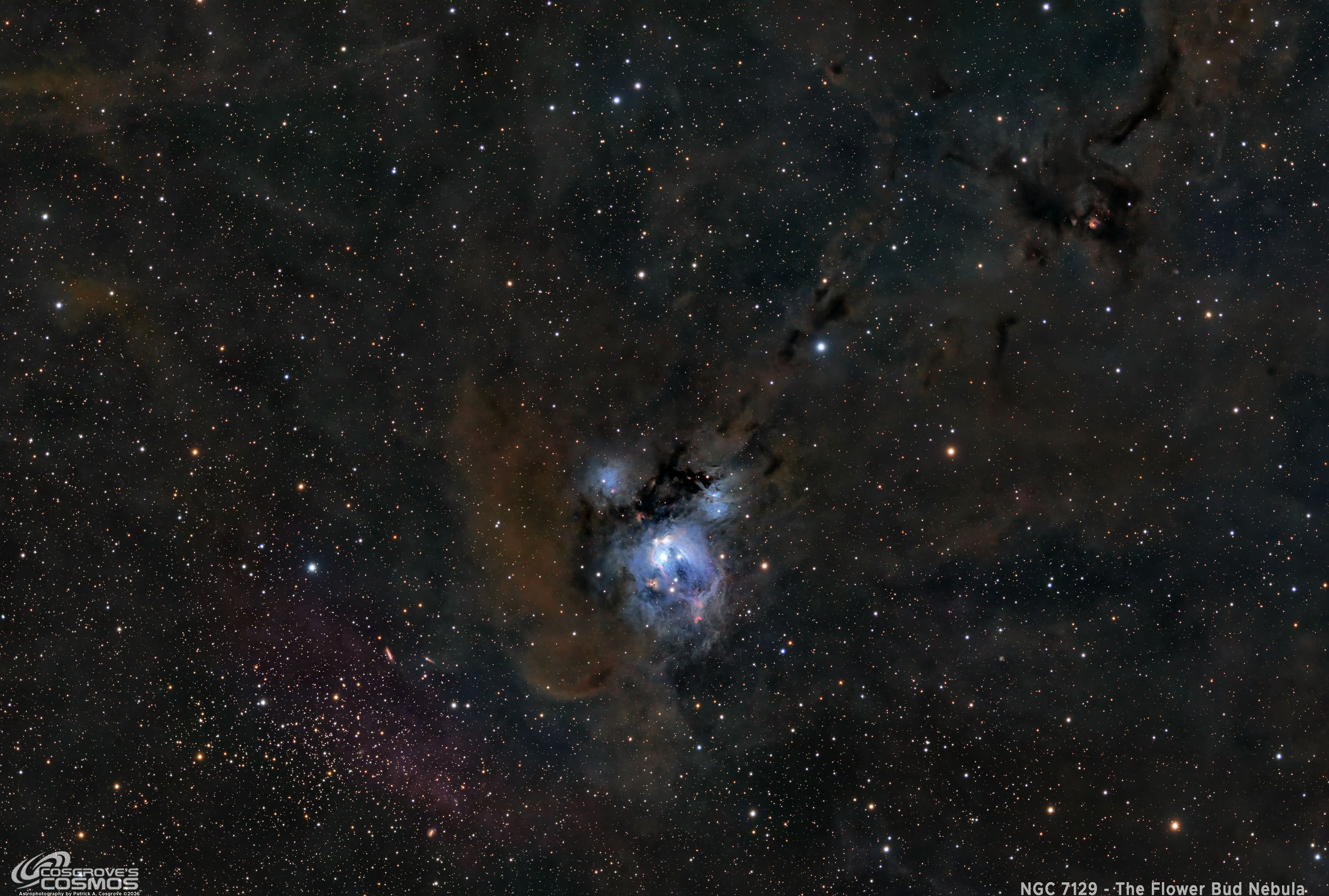 NGC 7129 - A Cosmic Rosebud! | ~14 hours of LRGB.