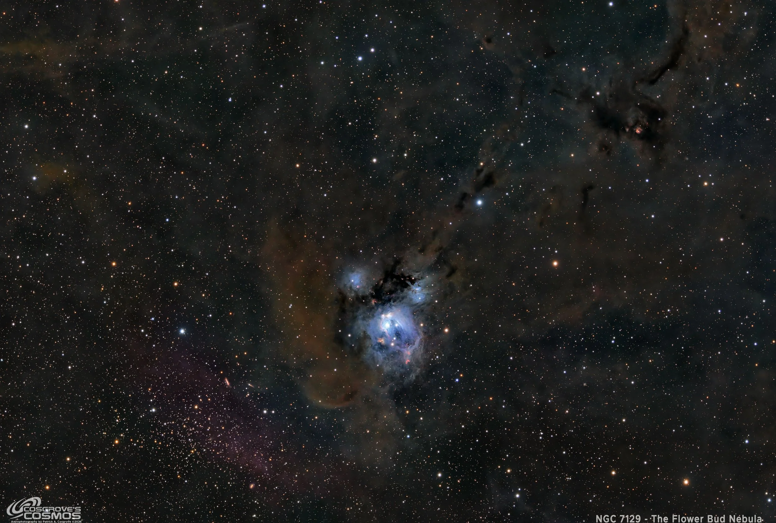 NGC 7129 - The Cosmic Rosebud -  2026 Image Processing Walkthrough. 
