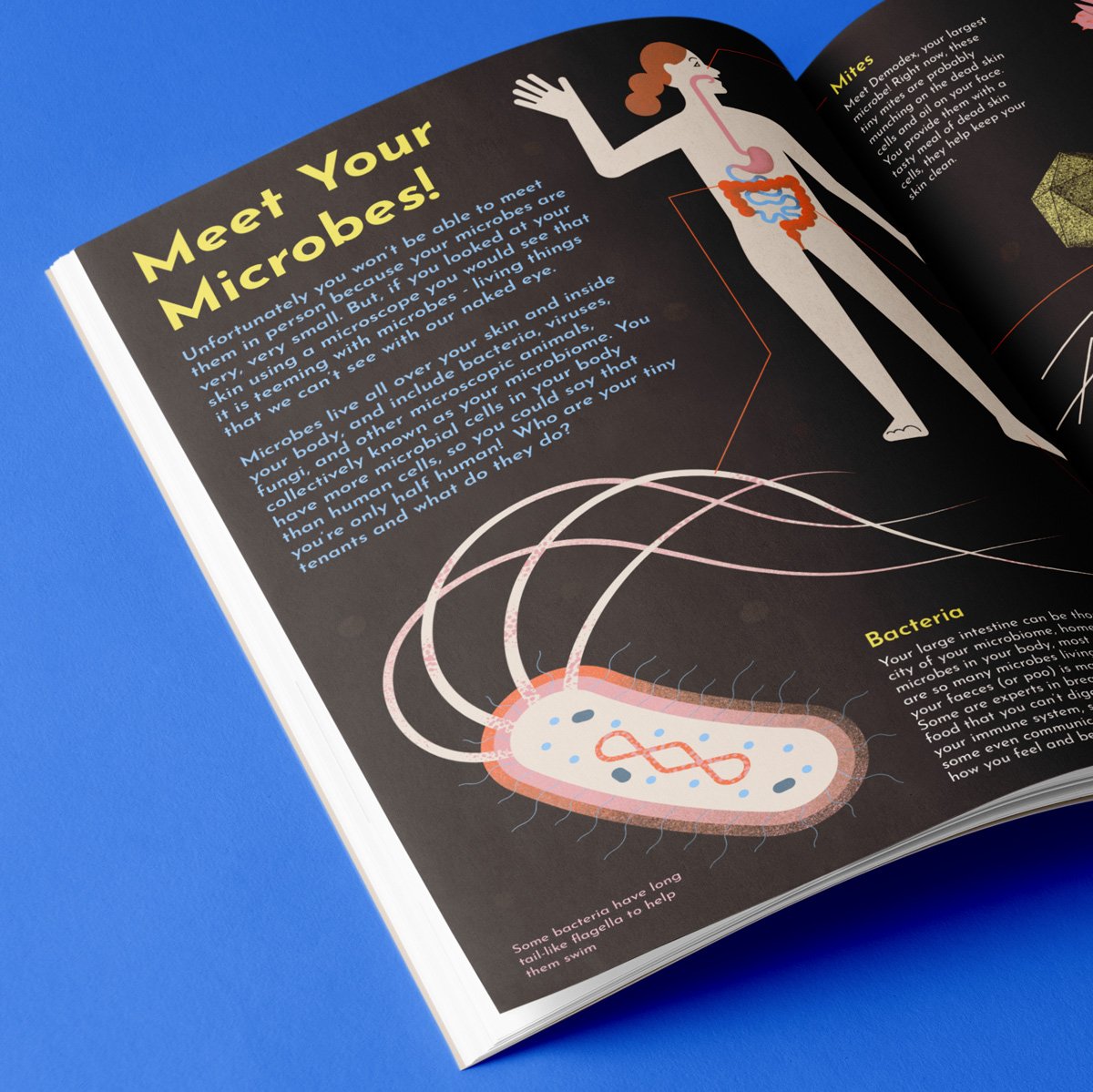 Meet your microbes!