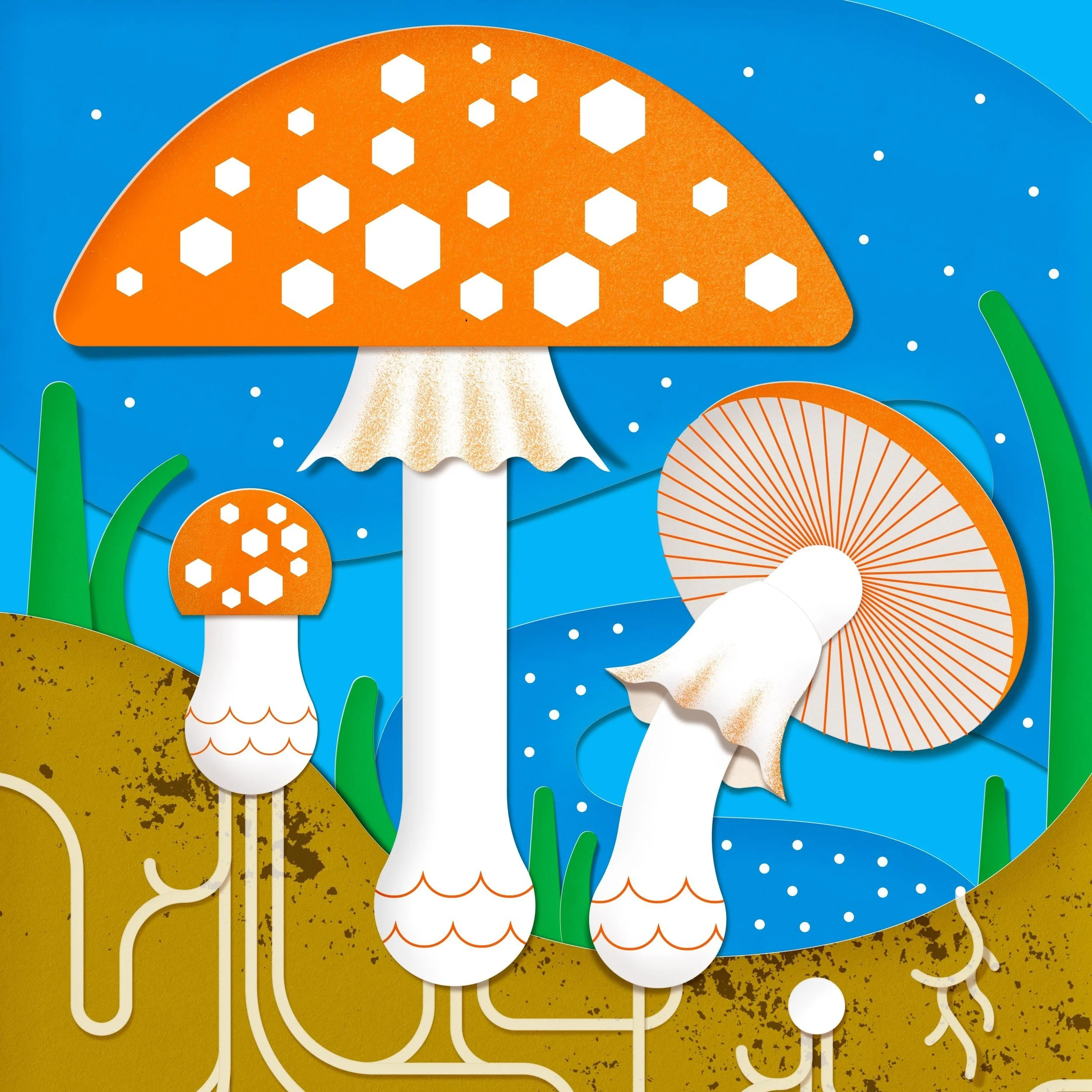 Mushroom life cycle