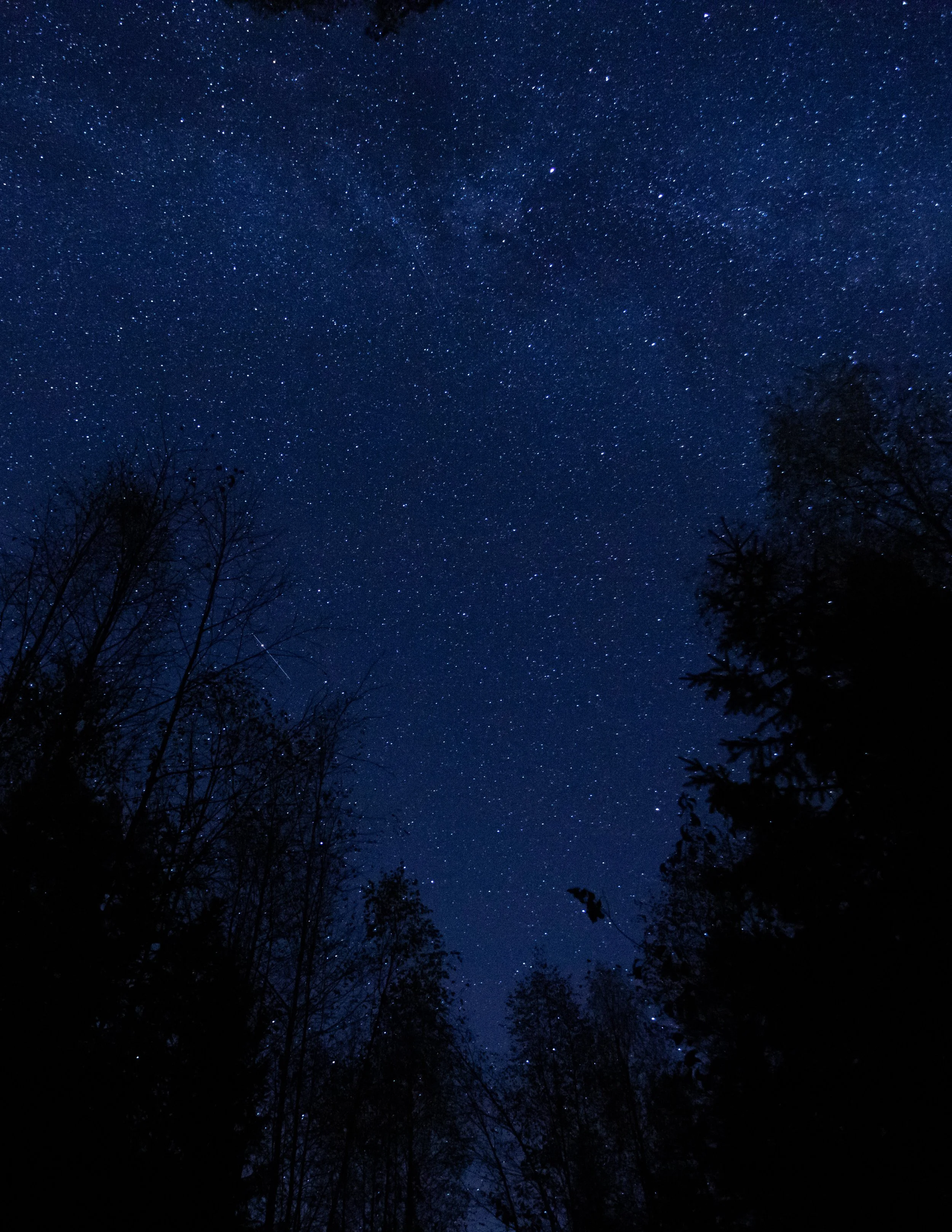 landskap 08.09 (9 of 11).jpg