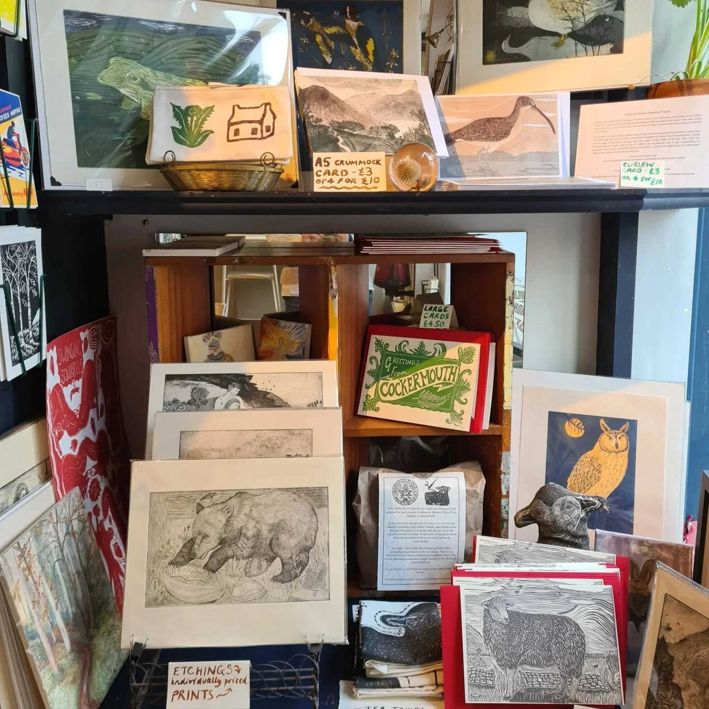 Studio shop is open today (Saturday 17th Jan)  with lots of cards freshly printed and 2026 workshops ready to book. You might have noticed many of our February workshops are sold out but don't forget we offer personalised group bookings too where you