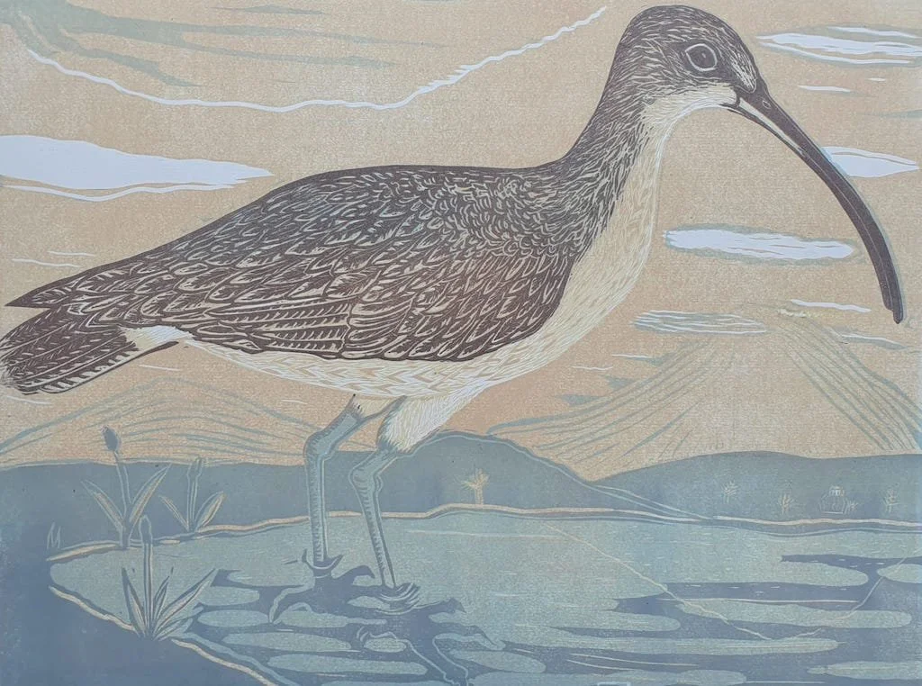 Curlew for website.JPG