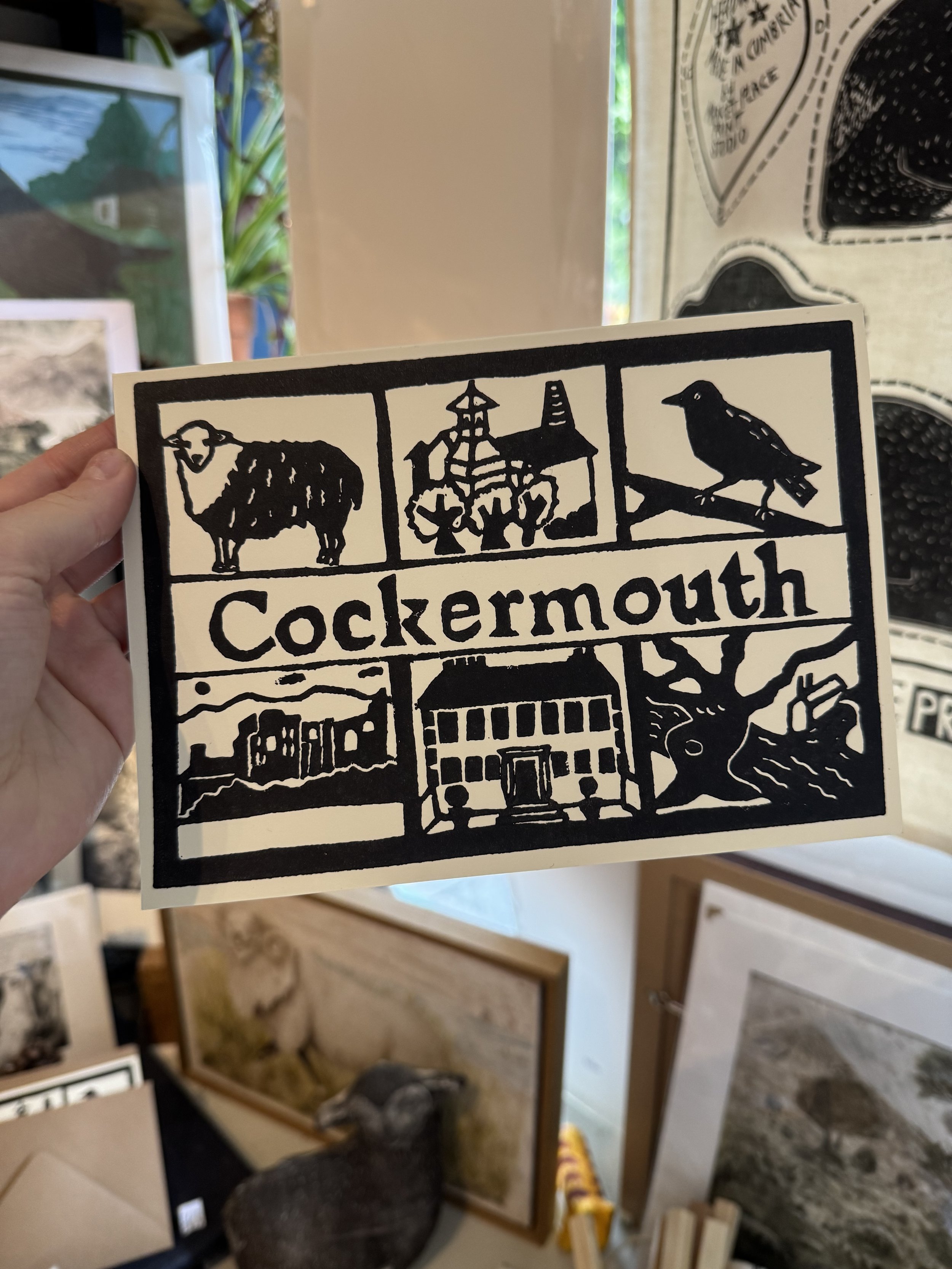 Cockermouth Show Stall + Drop-in activity - Saturday 1st August