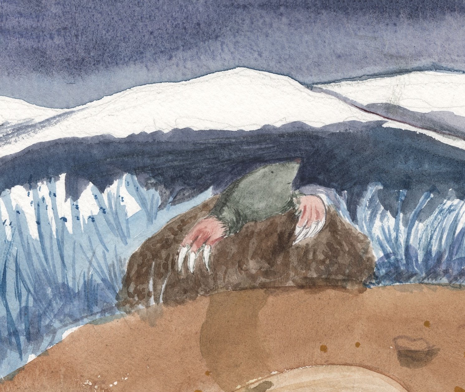 Moley Noel Advent Calendar 2026 detail 3.jpeg (Copy)