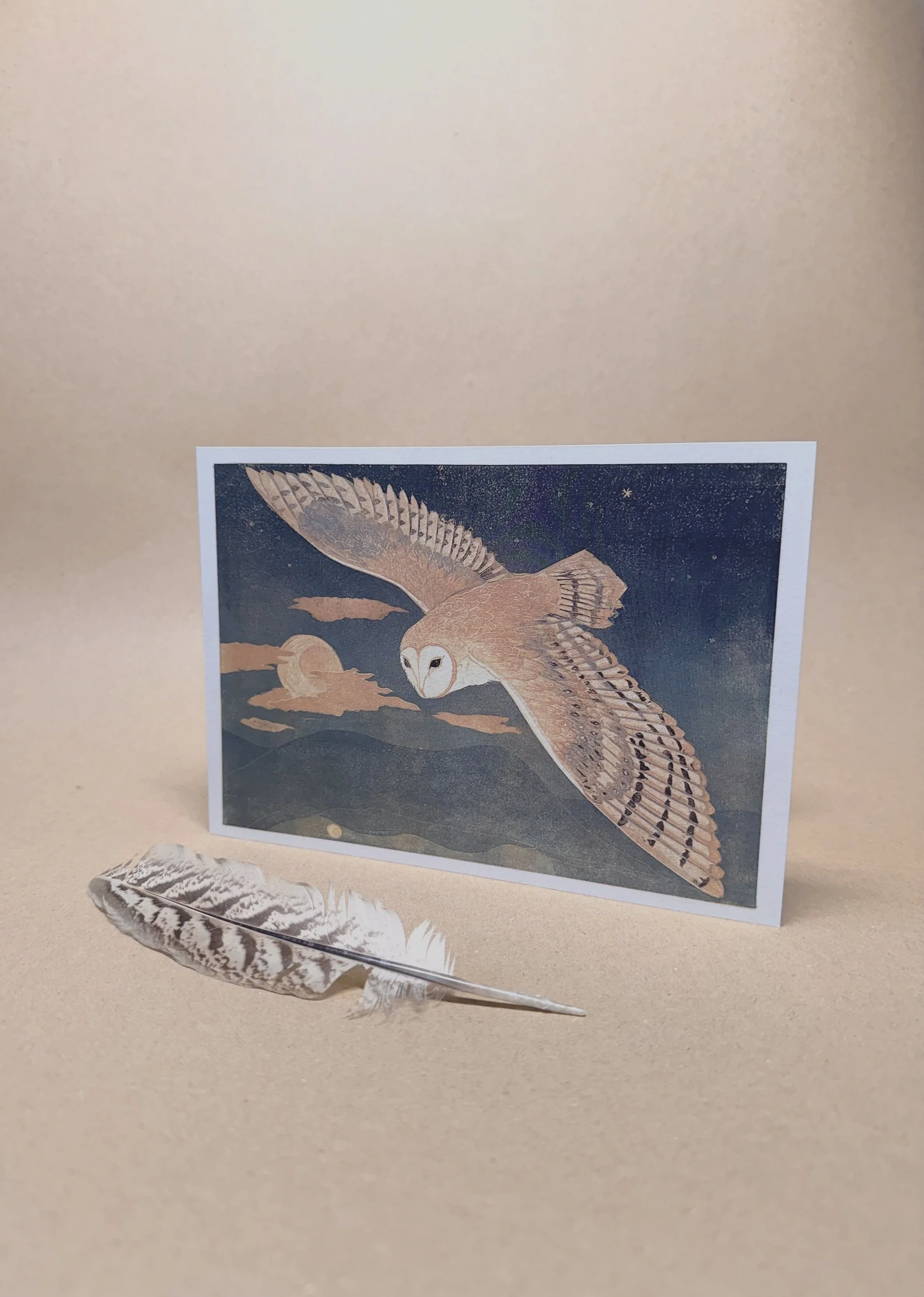 Night+Owl+Shop+Photo.jpg