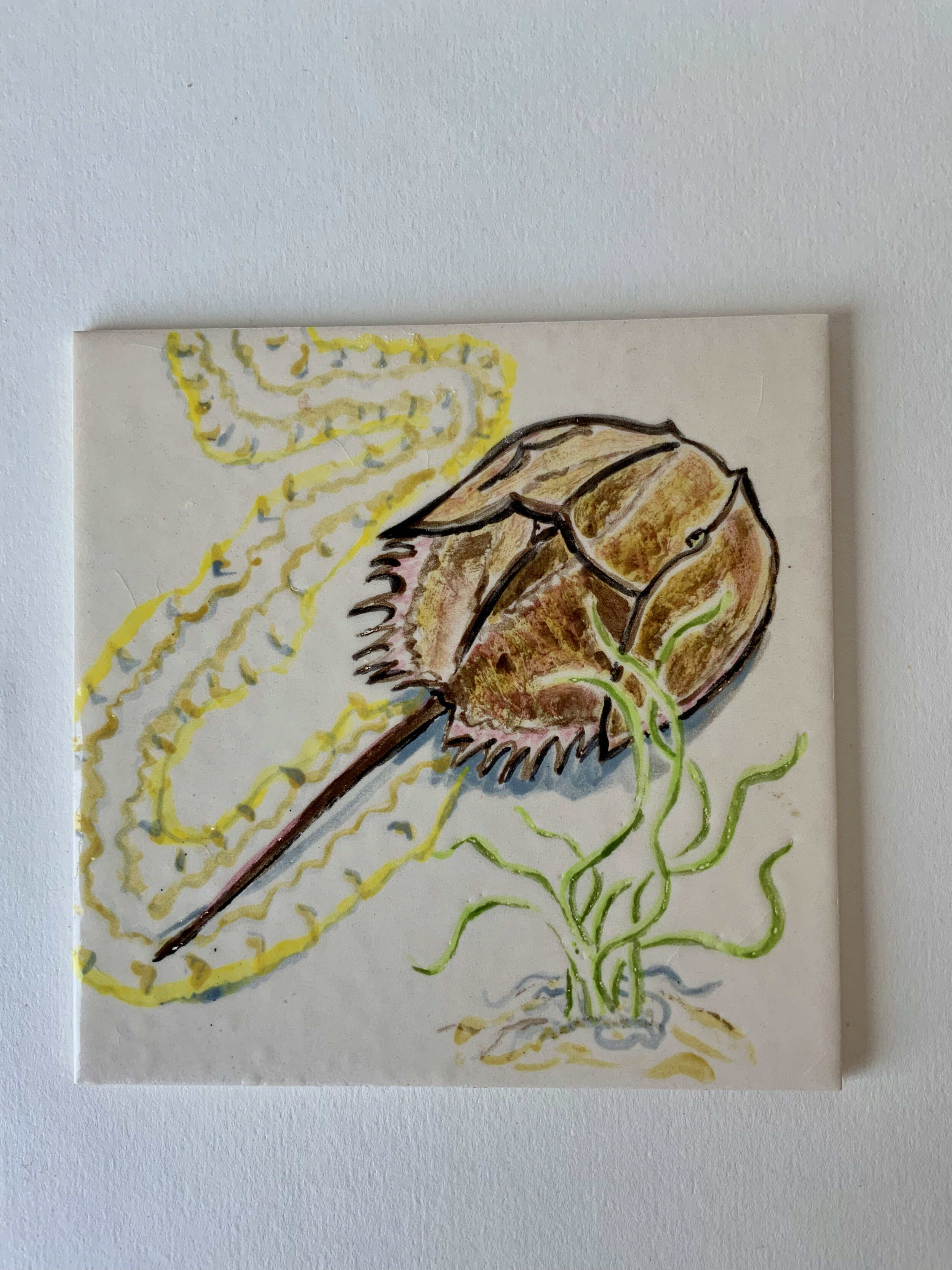 Tile_Horseshoe Crab.jpeg