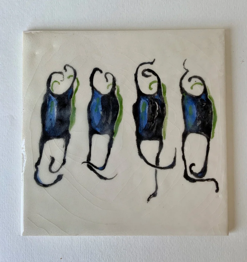 Skate Egg Cases Tile — Susanna Caldwell