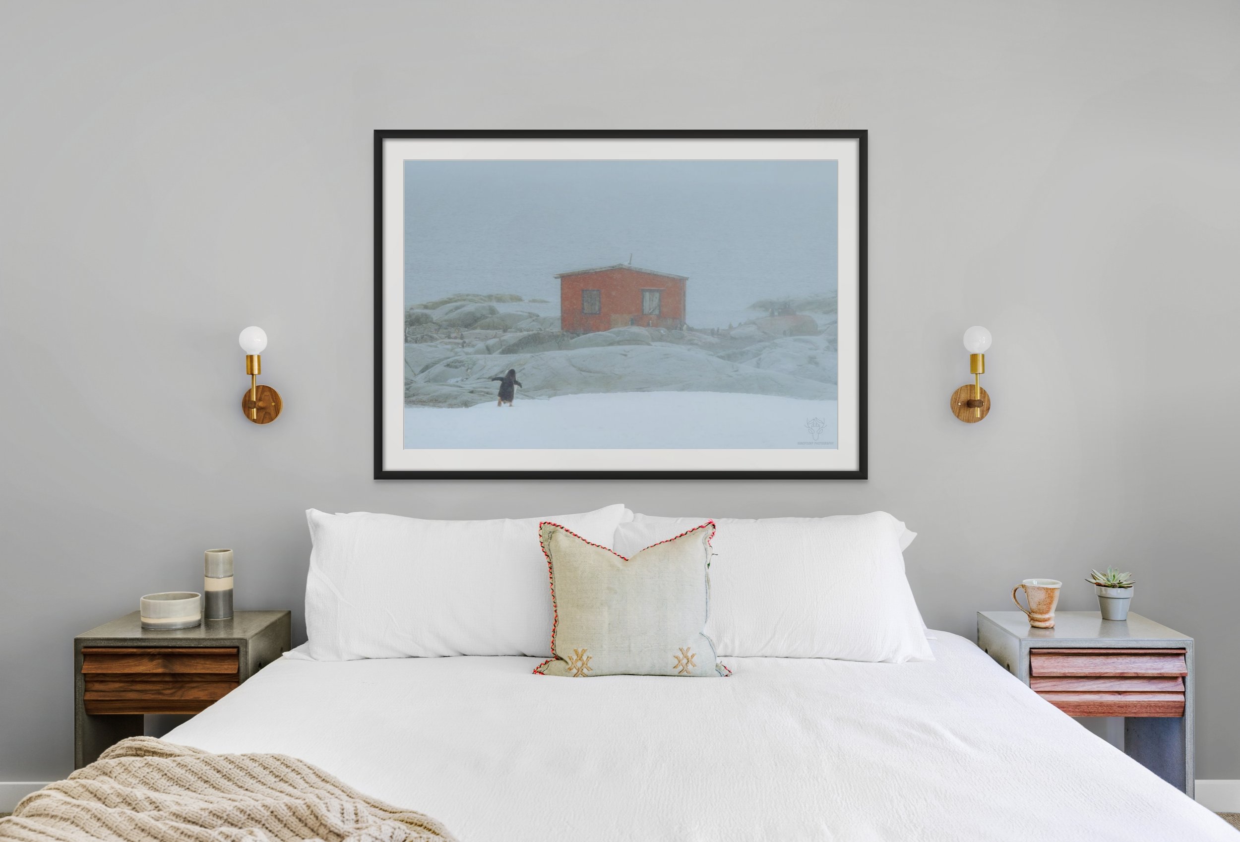 penguin_hut (1).jpg