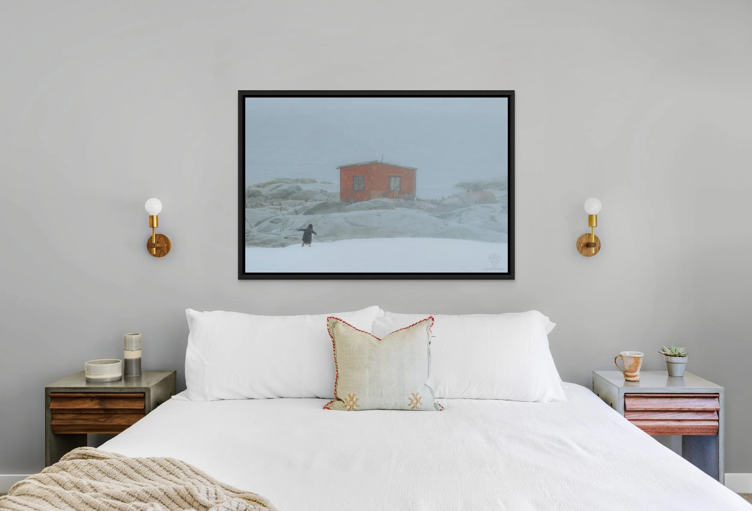 penguin_hut.jpg