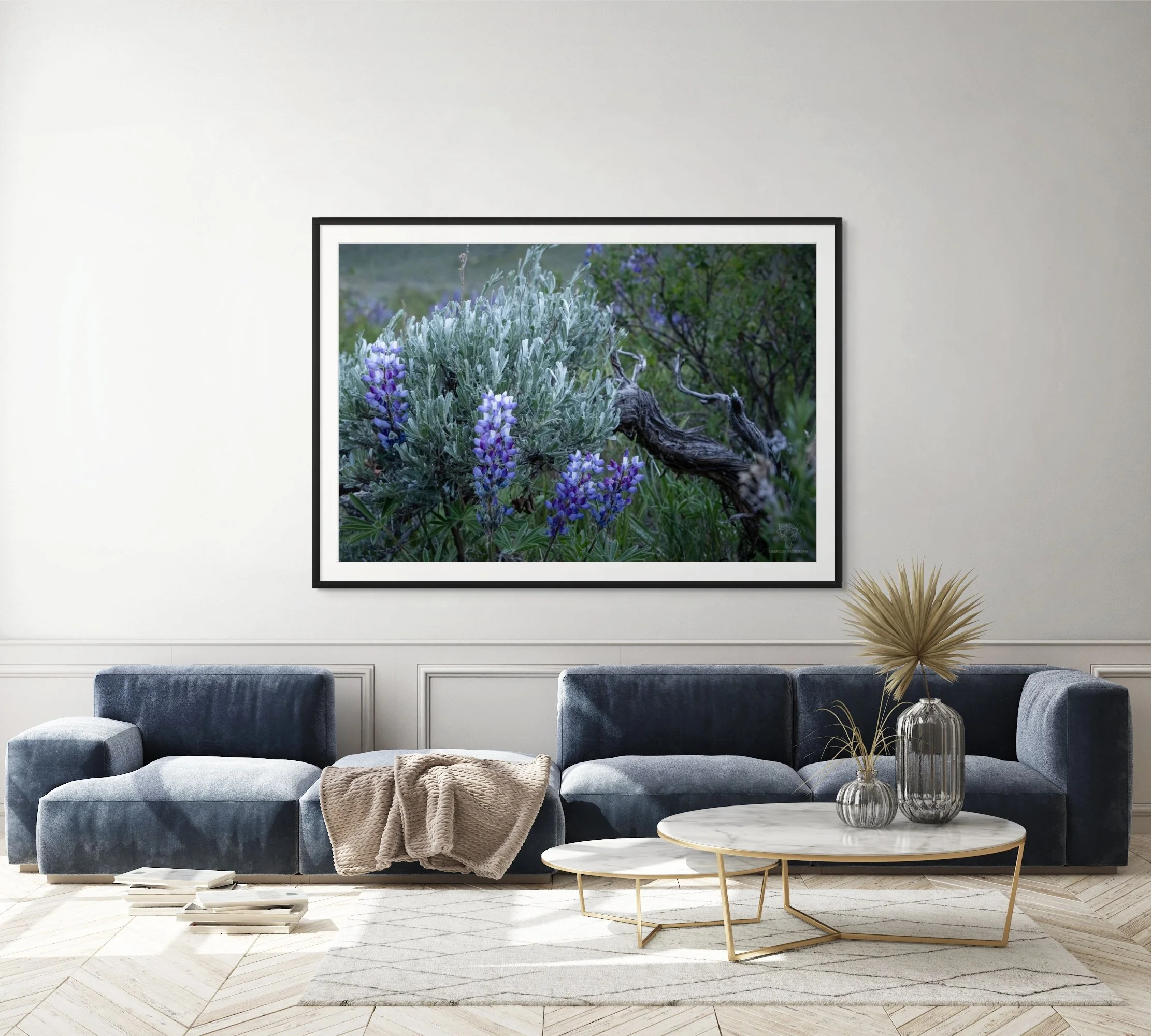 lupines copy.jpg