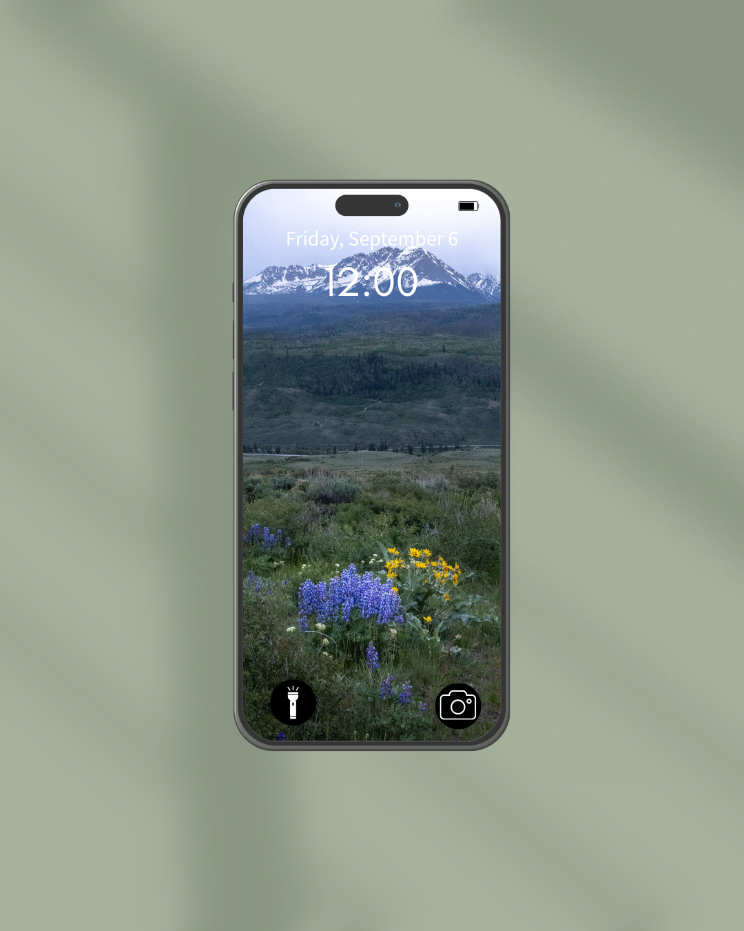 Wildflower Pack (6).png