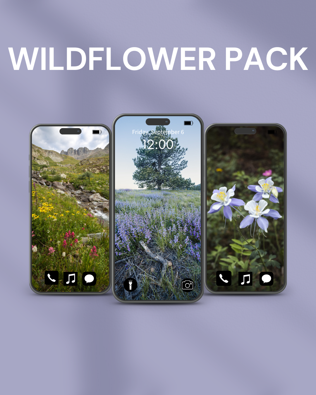 Wildflower Pack.png