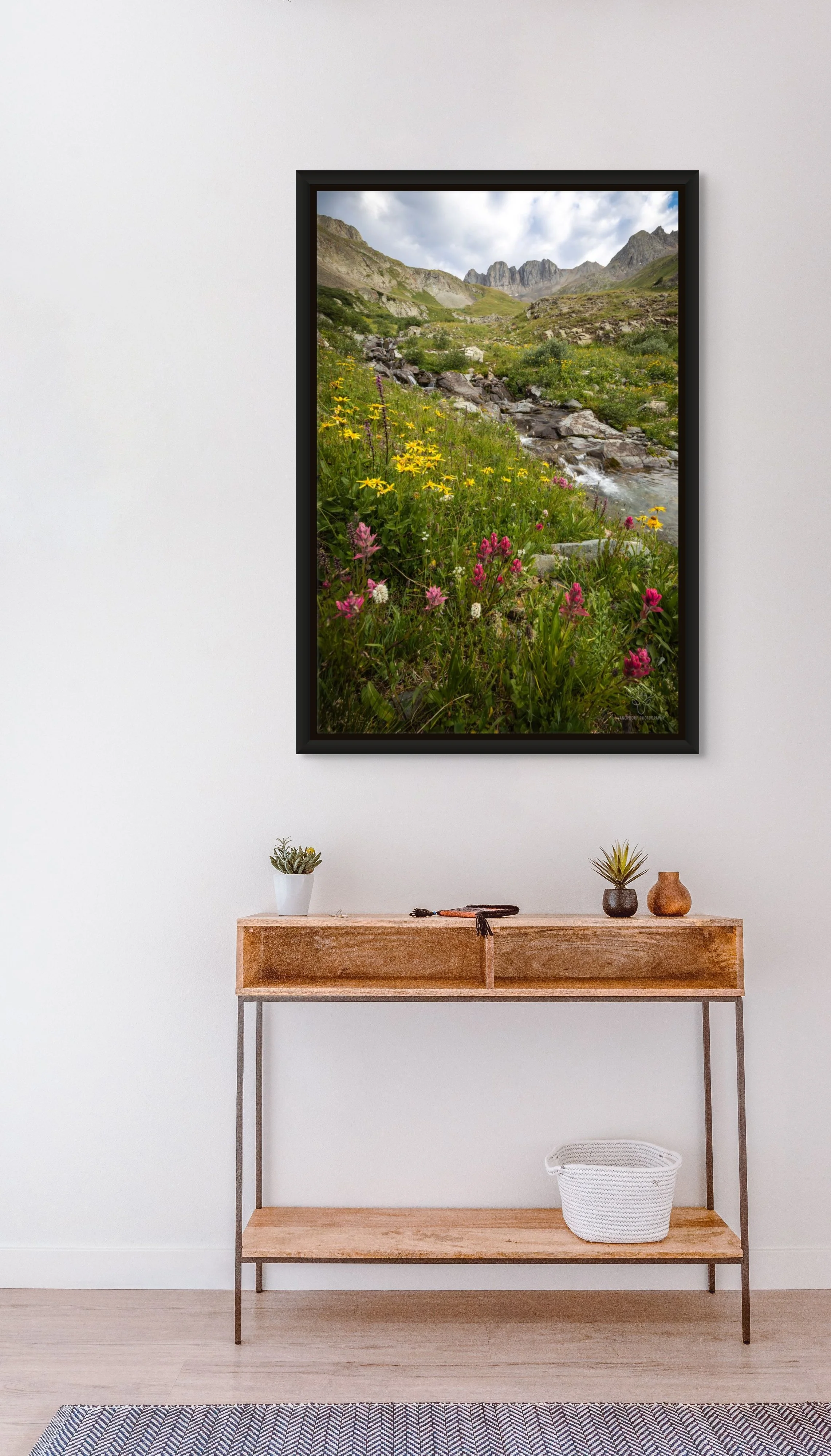 american basin wildflowers.jpg