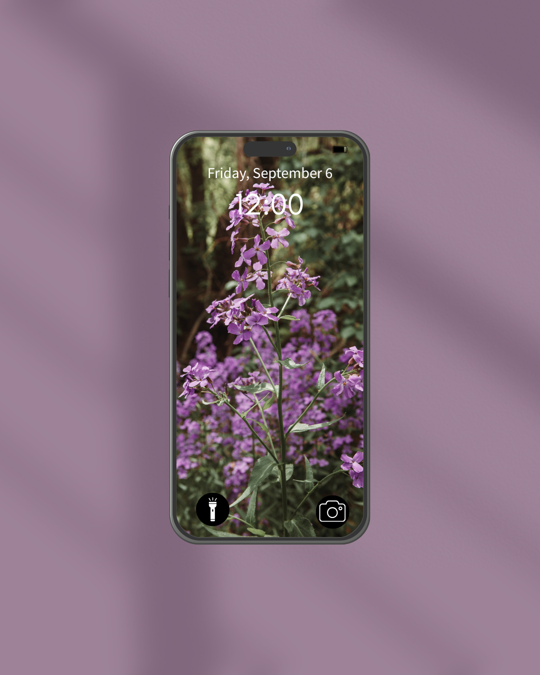 Wildflower Pack (4).png