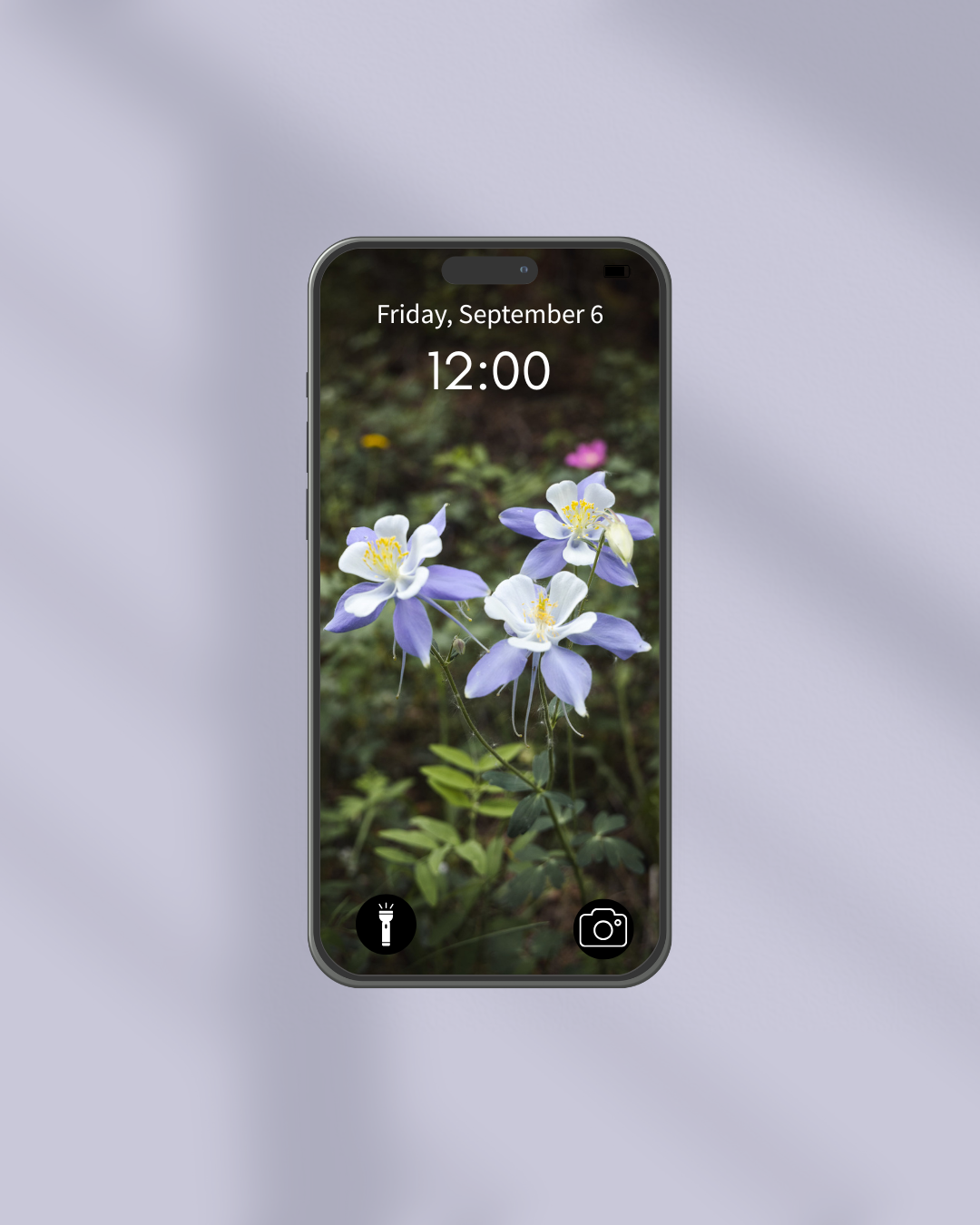 Wildflower Pack (7).png